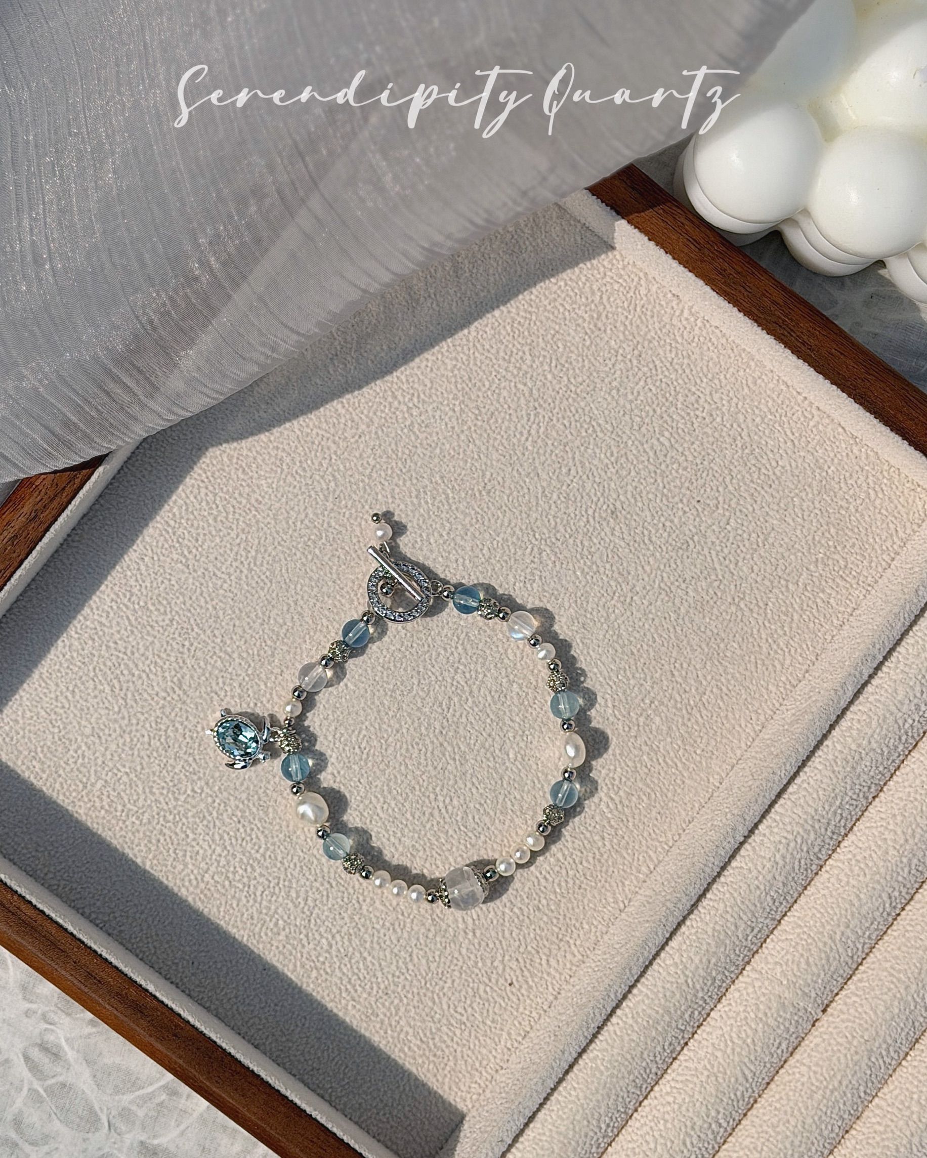 萌寵小寶貝-龜蜜