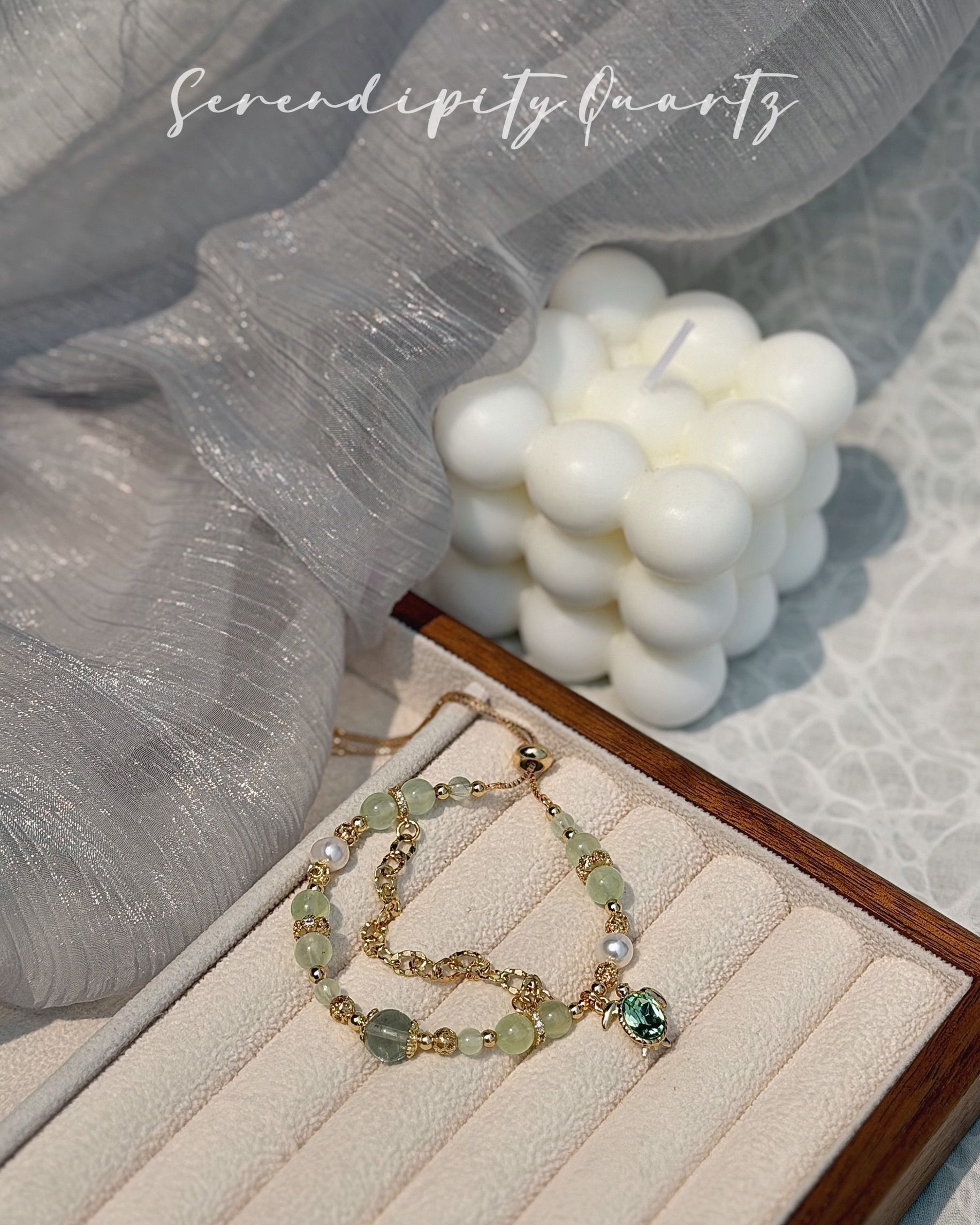 萌寵小寶貝-龜寶