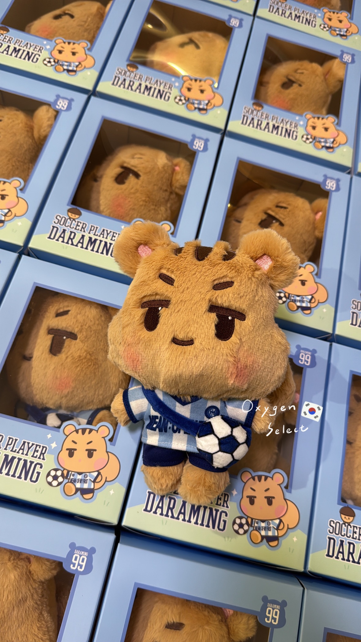 20cm達拉珉（外箱有損）