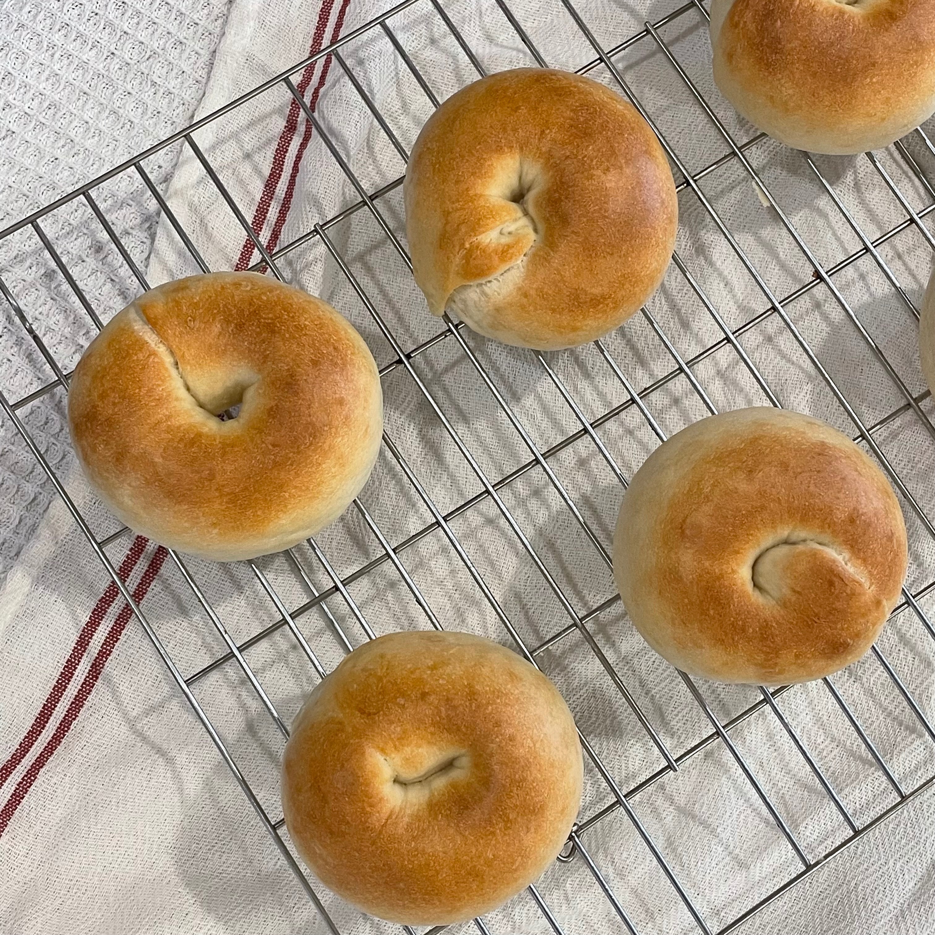 貝果🥯
