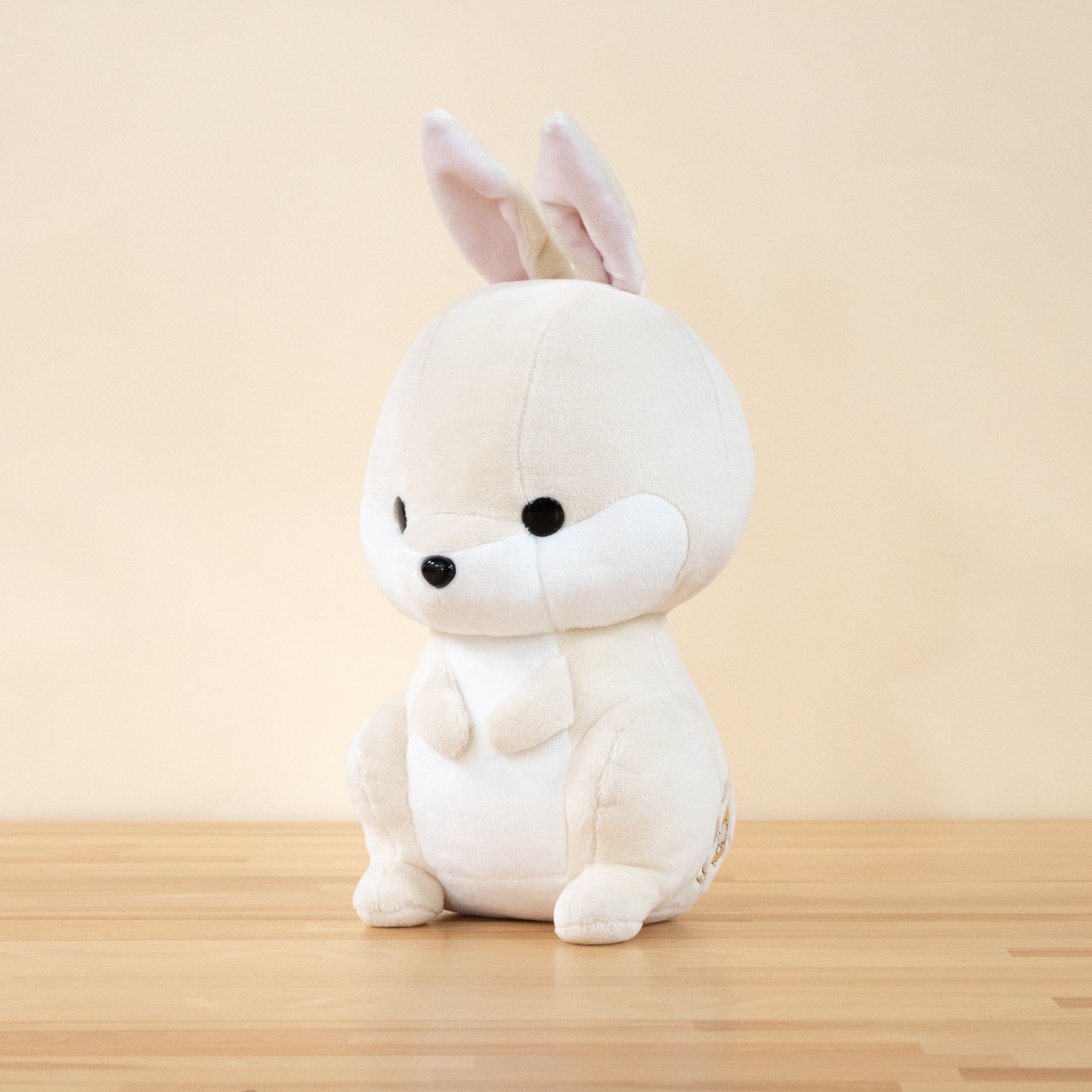 Bunni｜兔子