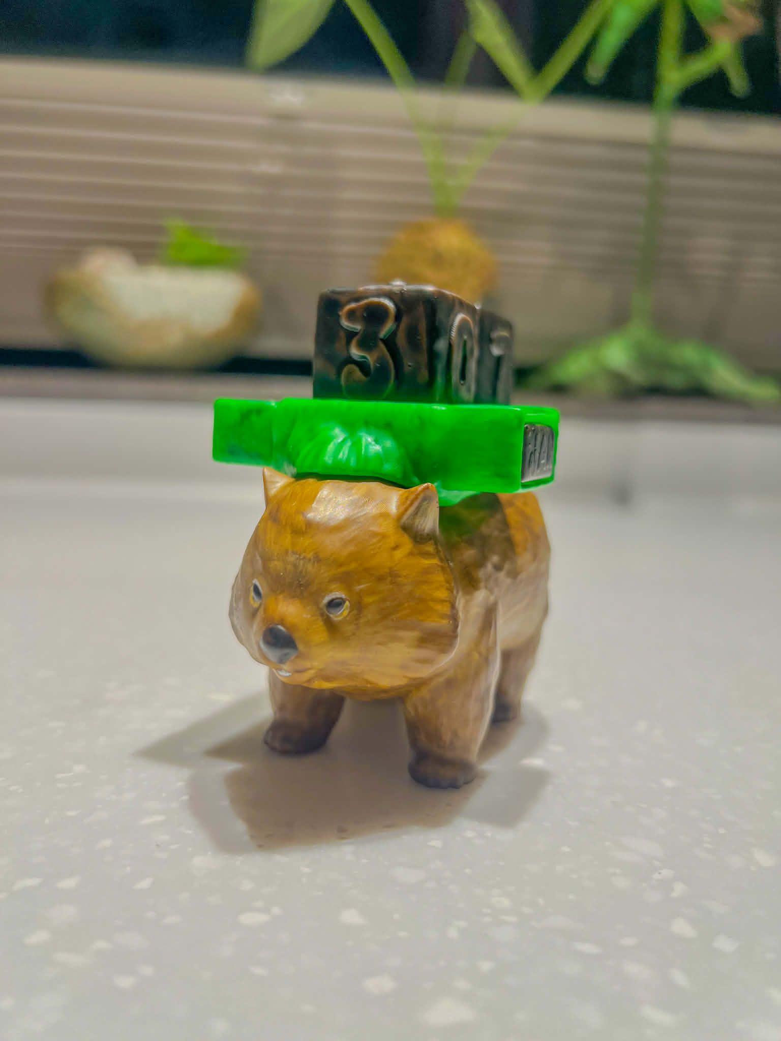 【袋熊方形便便萬年曆｜Wombat Perpetual Calendar】