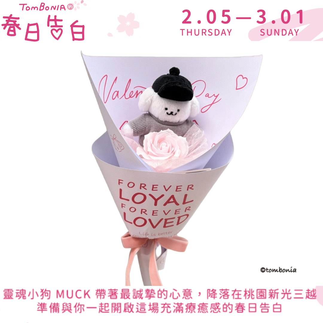 情人節 Muck 告白限定版