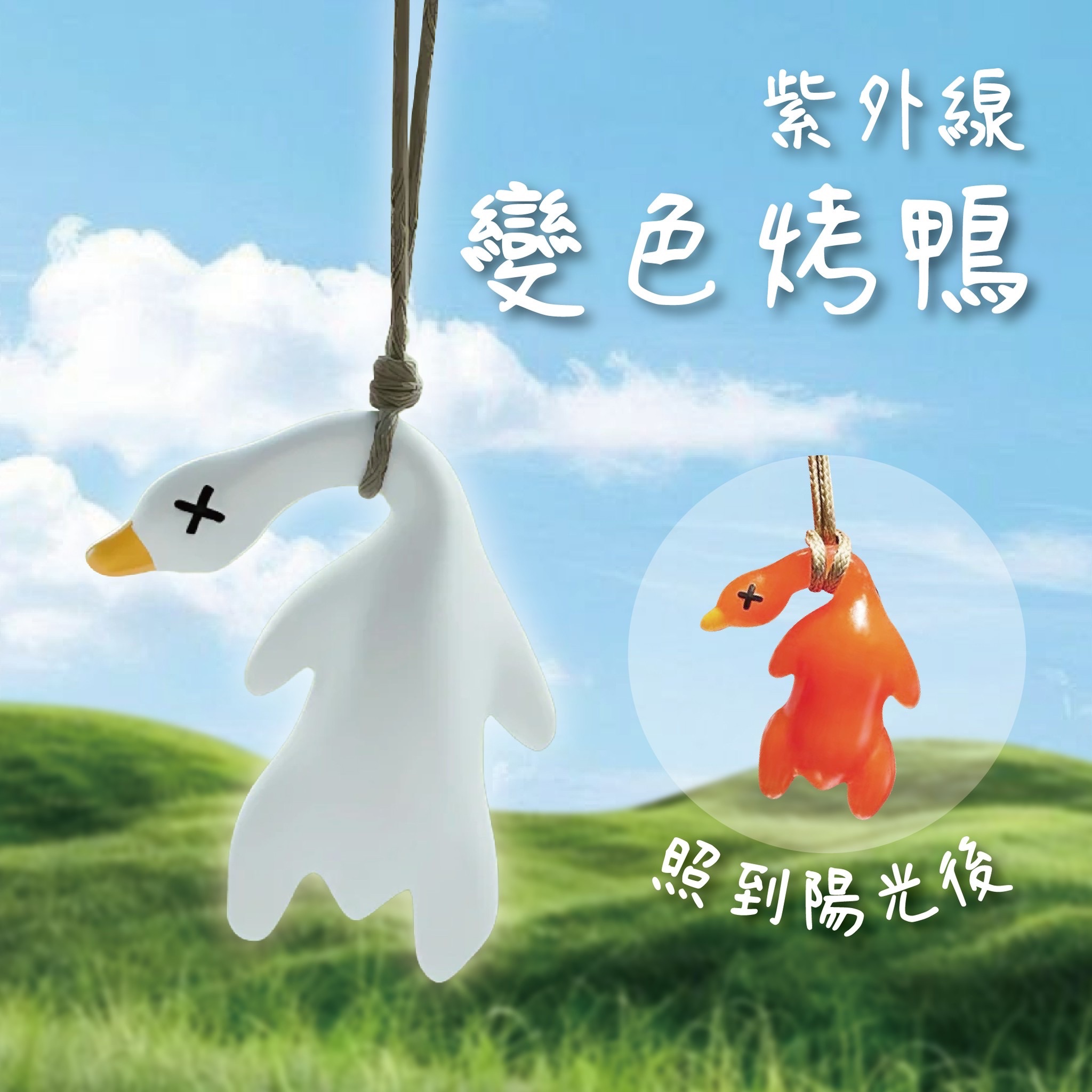 🐓紫外線變色烤鴨🍗《現貨》