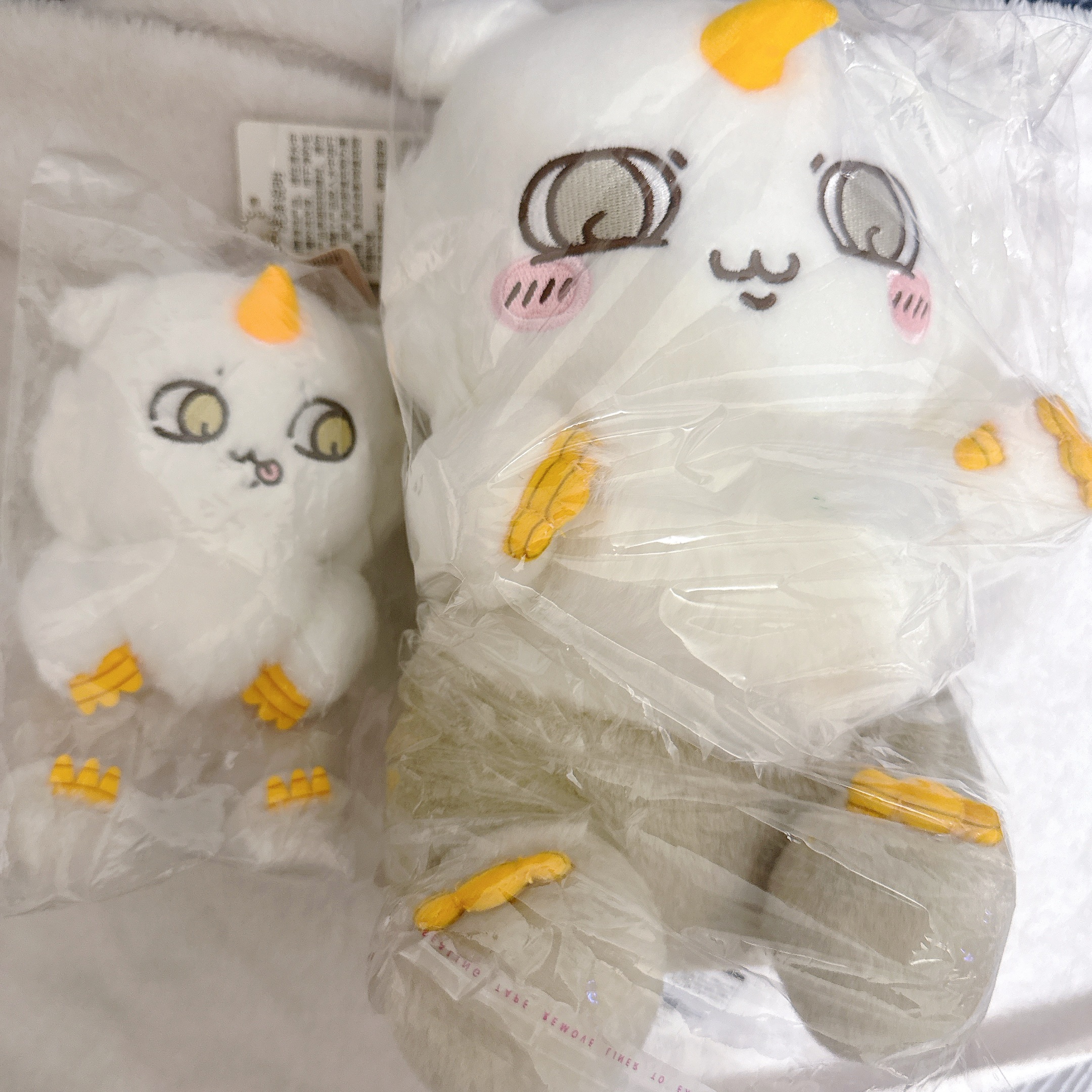 那孩子 組