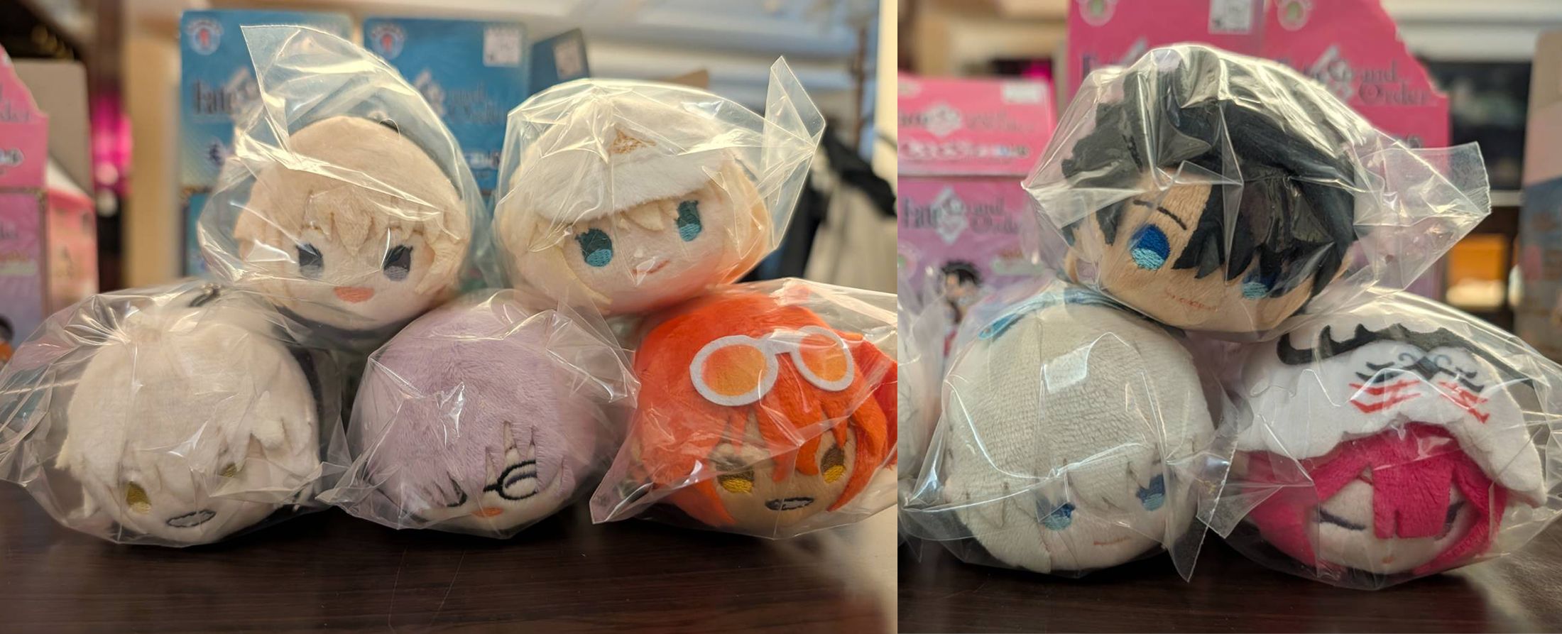 FGO 趴娃 Summer 1&2 泳裝系列 もちもち