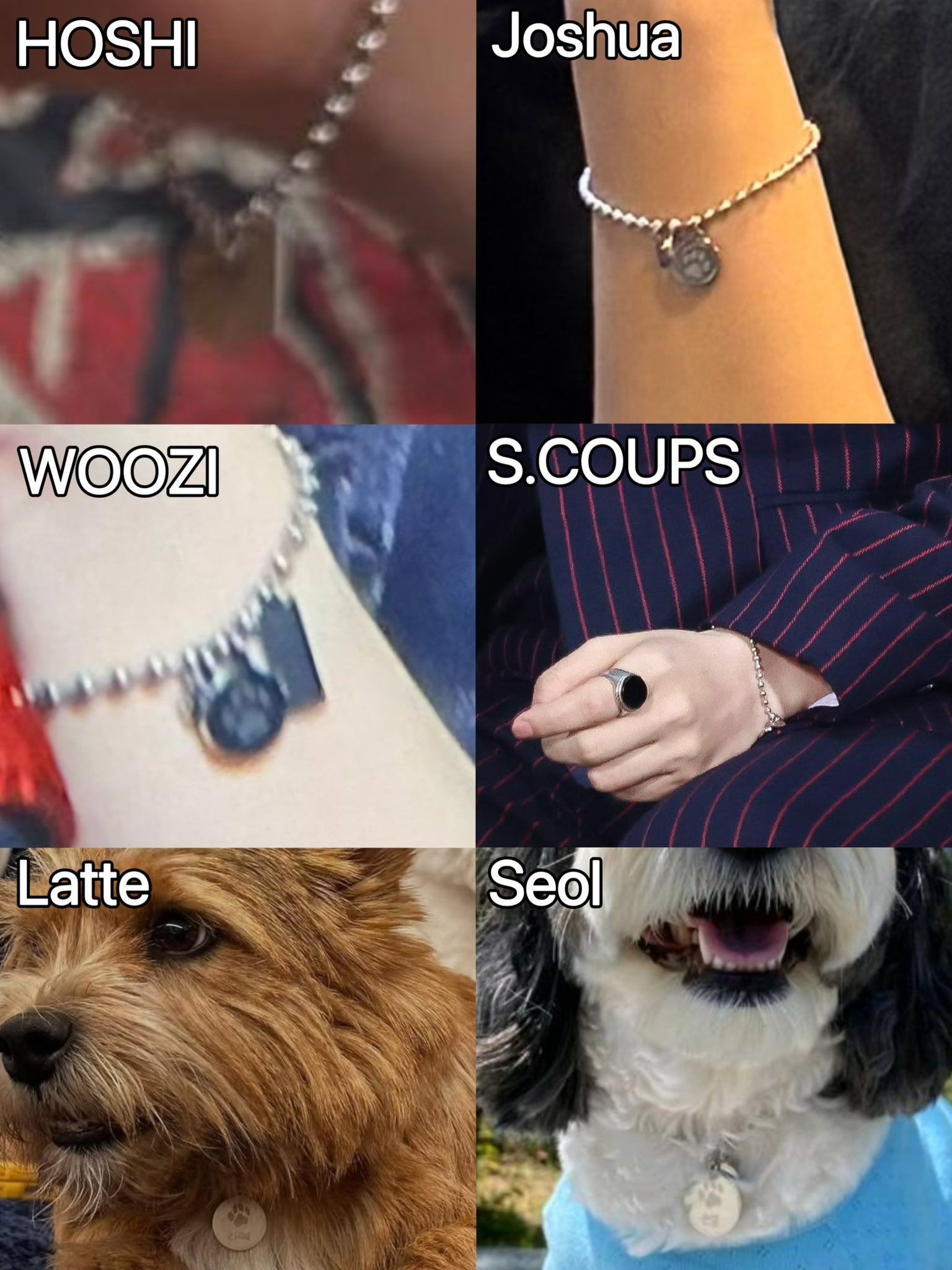 收單✿ CAMPO官網代購