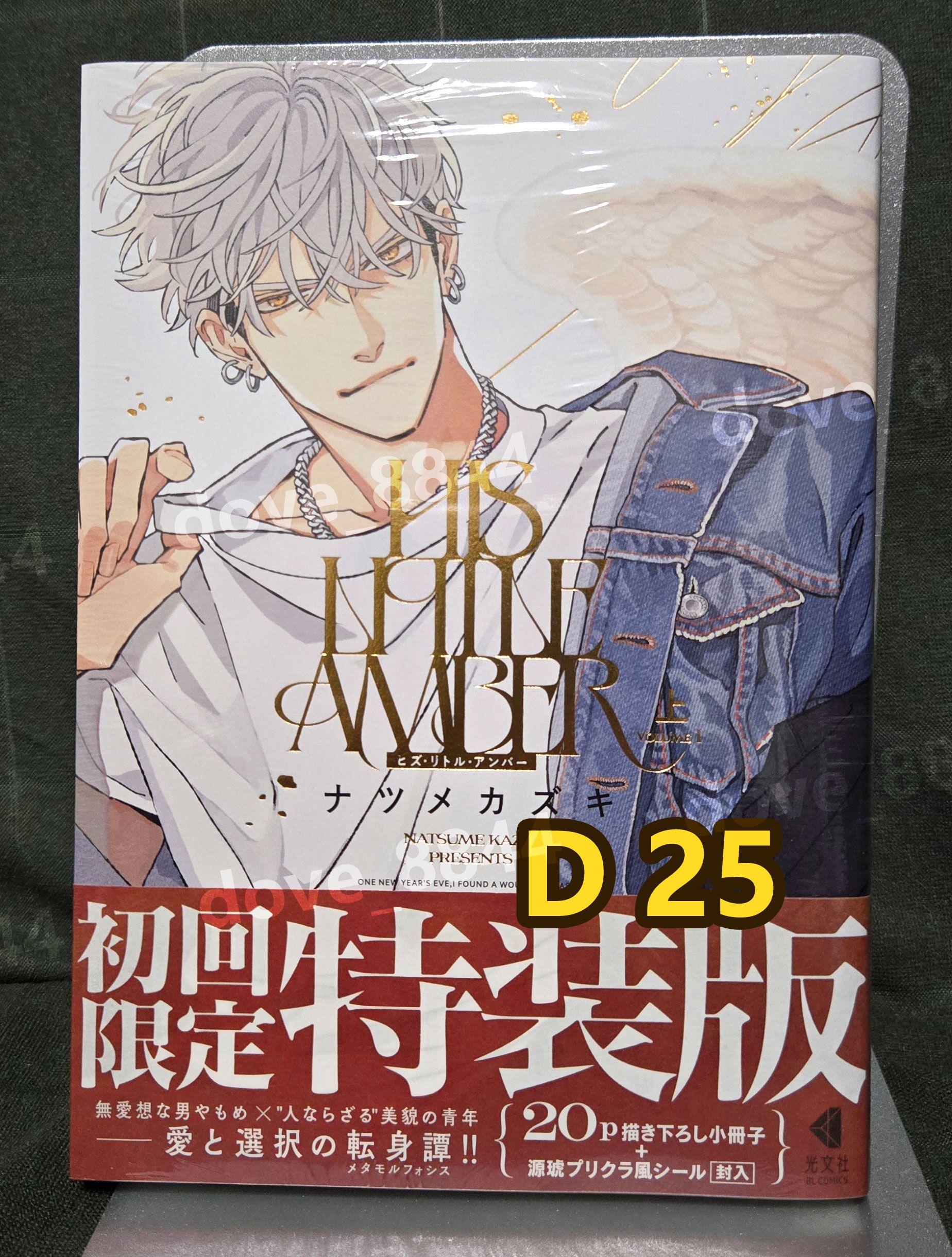 D-3區 日文商業漫畫ナツメカズキ 「ヒズ・リトル・アンバー」初回限定版