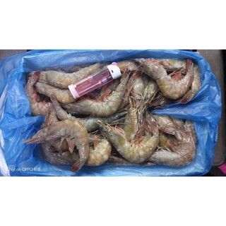 特選三A級【好想你生鮮】活凍南美白蝦40/50（約47隻）_1.12KG±5%/盒