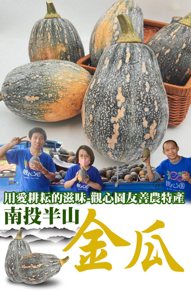 觀心園-南投半山手採金瓜7台斤