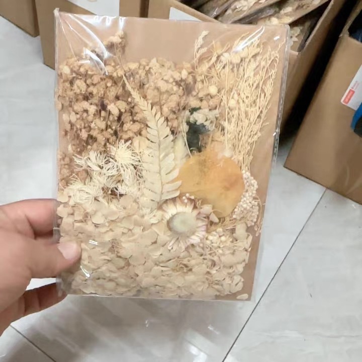 乾燥花 拍谷美裝飾擺拍用