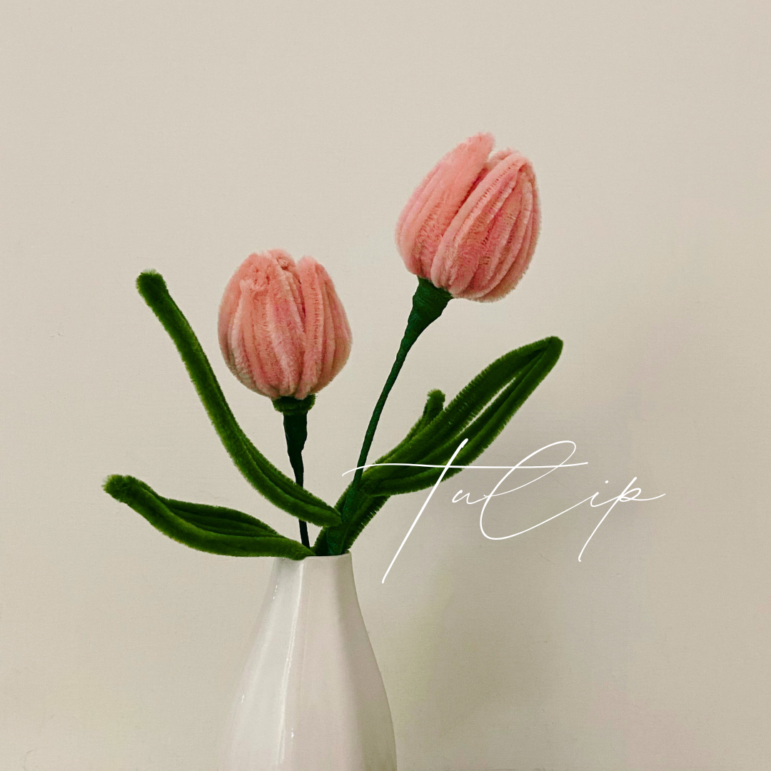 鬱金香扭棒花