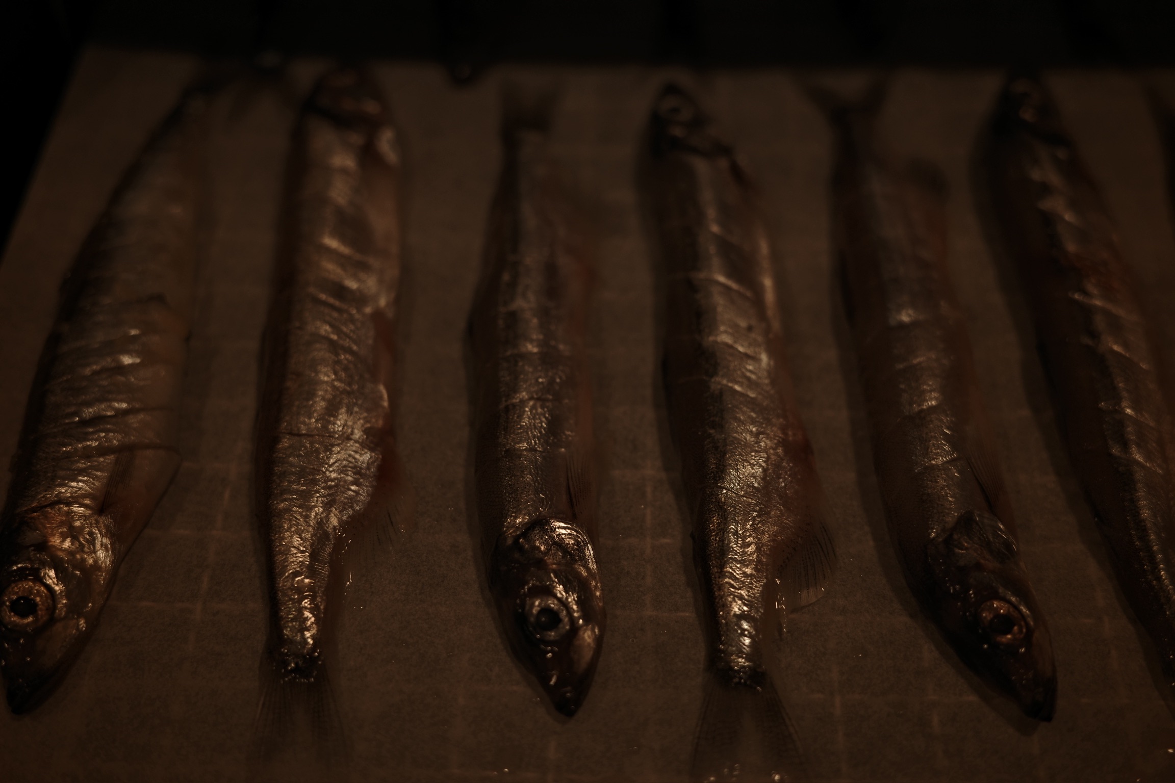 （貓狗零食）烘乾柳葉魚🐟