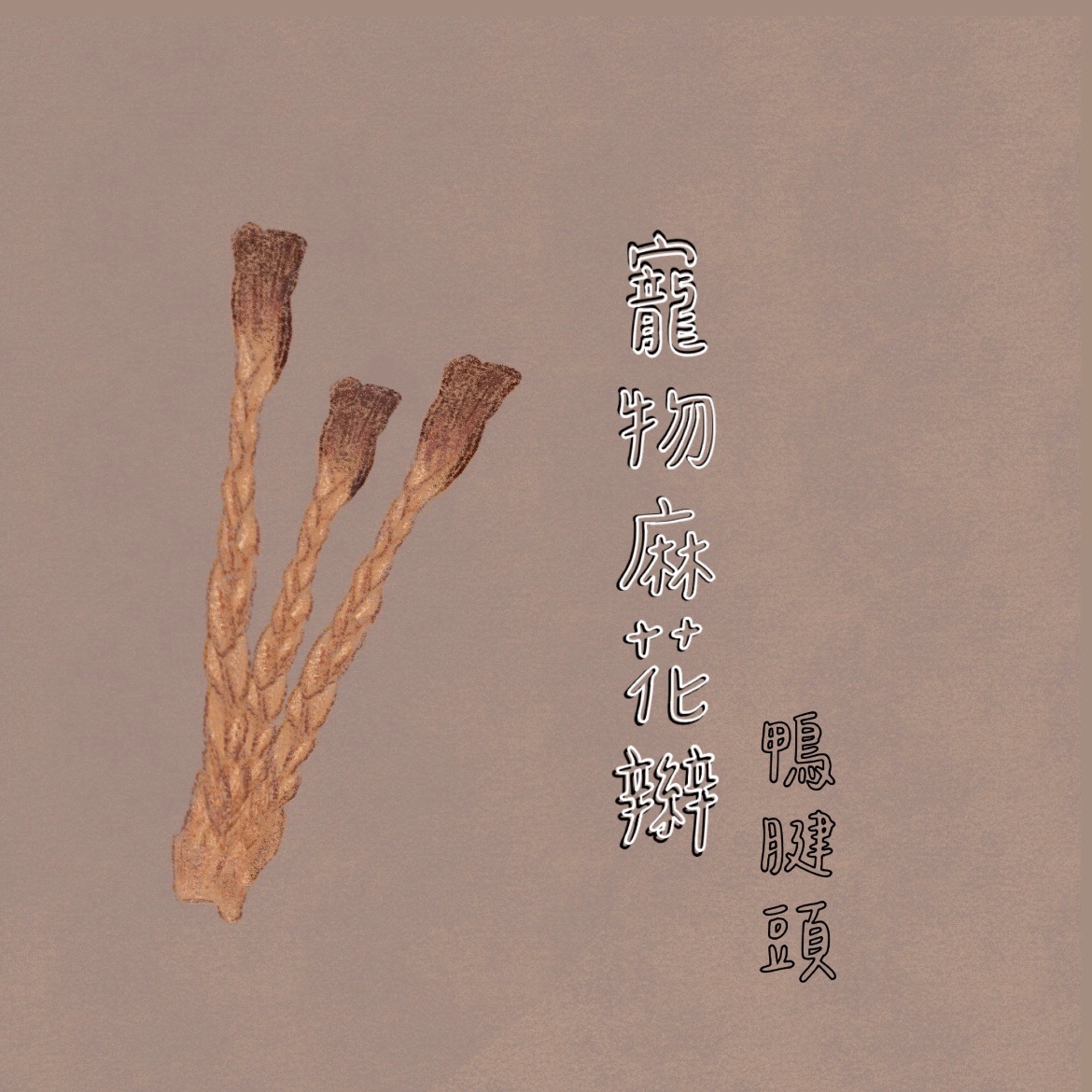 《限量》寵物麻花辮_鴨腱頭