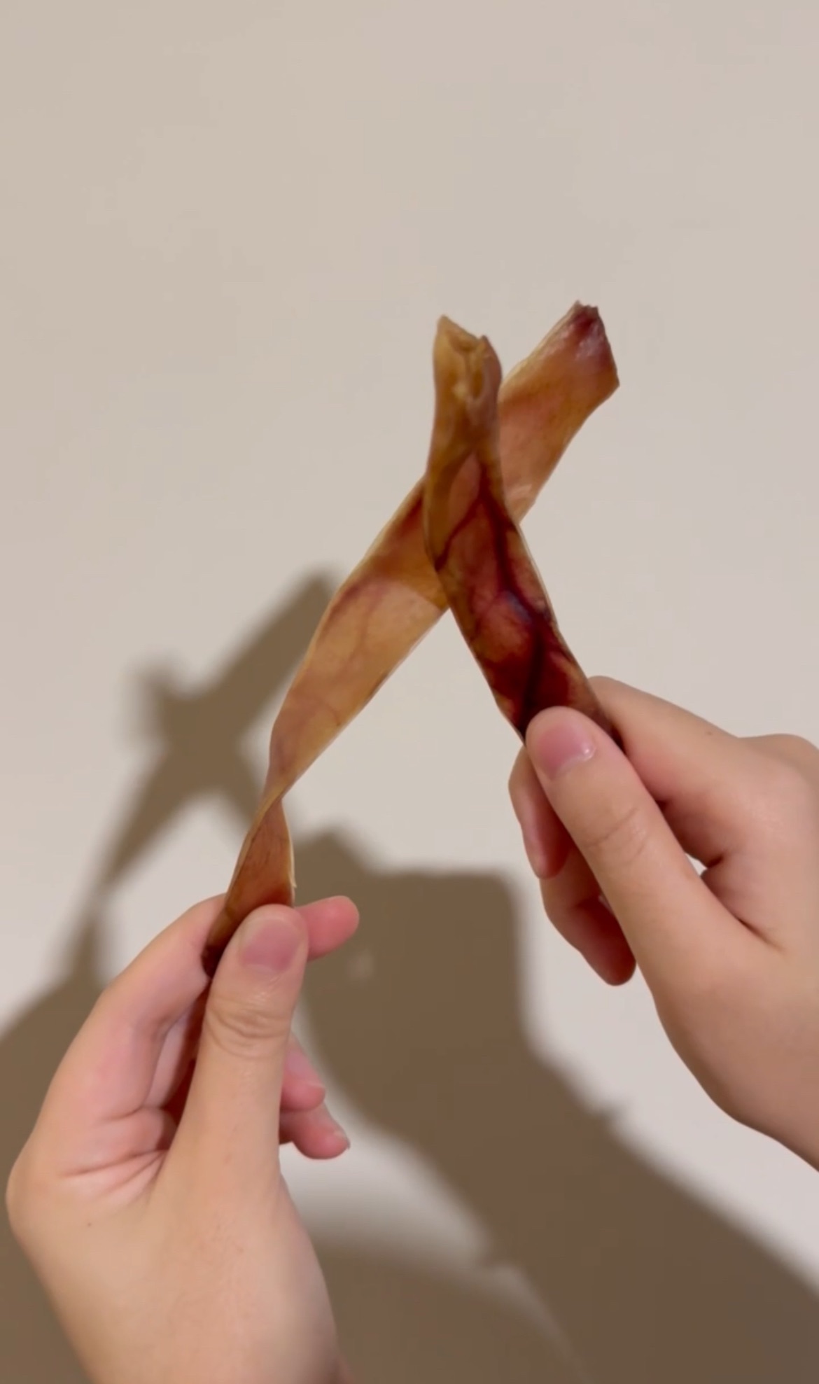 ✩⡱SALE（狗零食）豬耳朵～大家敲碗的耐咬系列