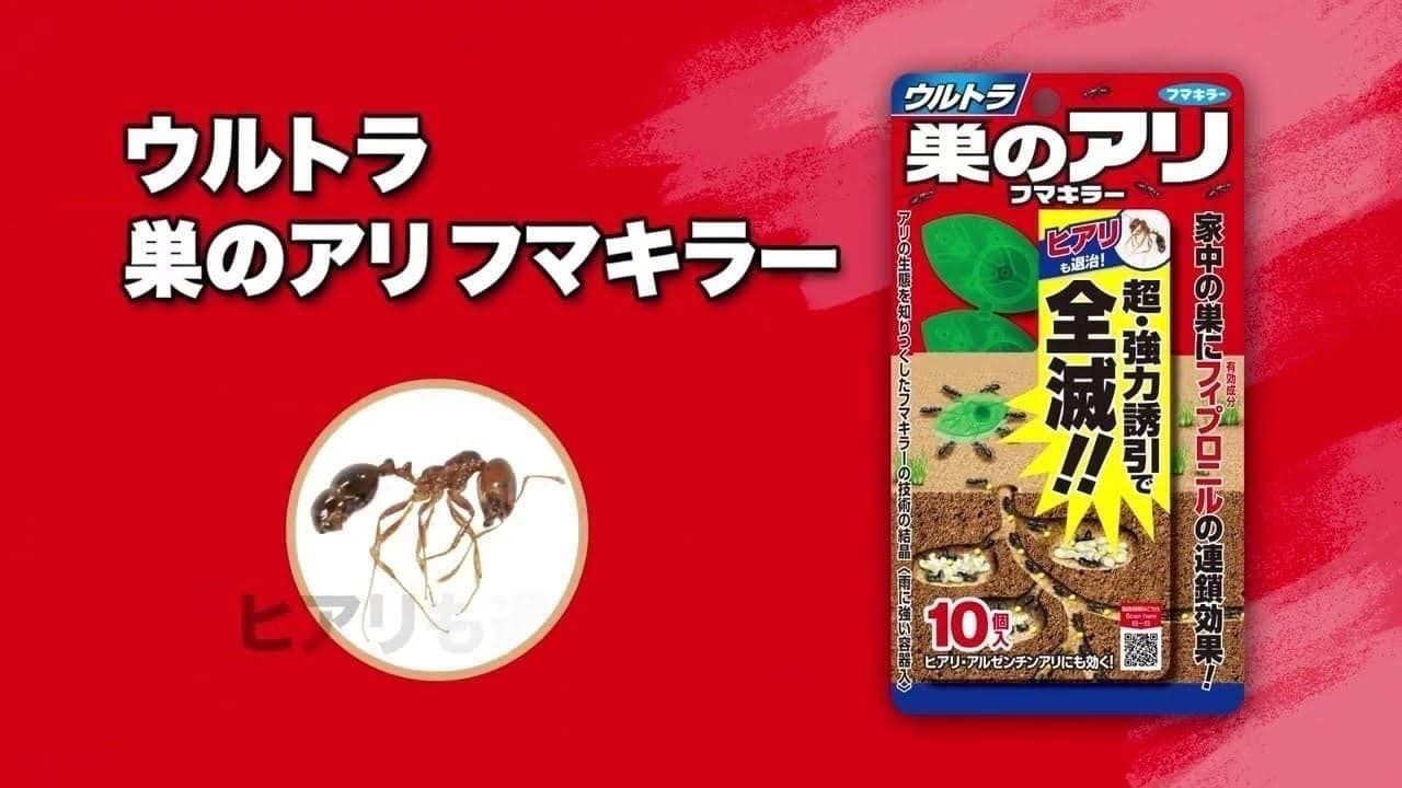 【現貨】日本🇯🇵超強力全滅螞蟻剋星 10入