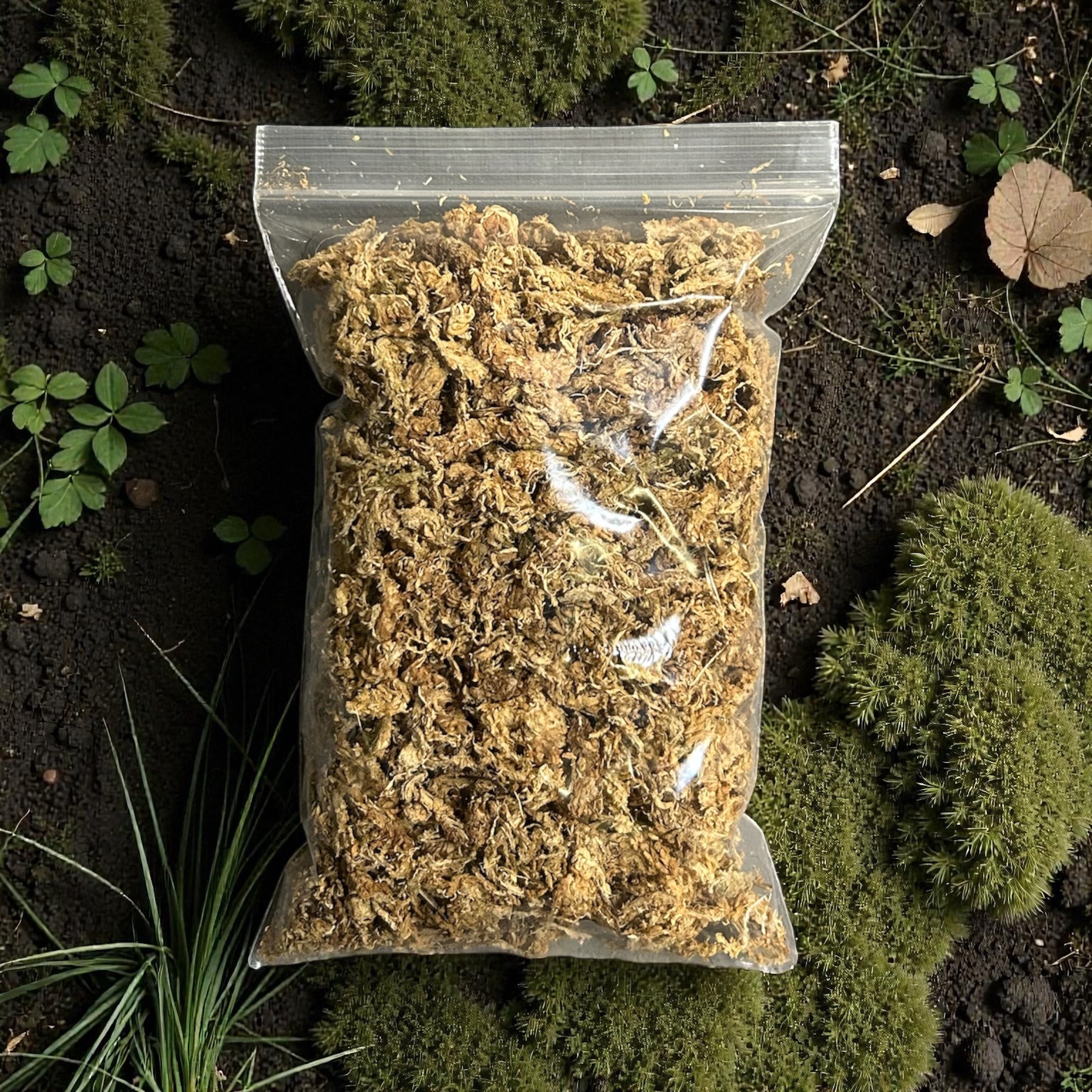 「翻鼠藤」耗材專區