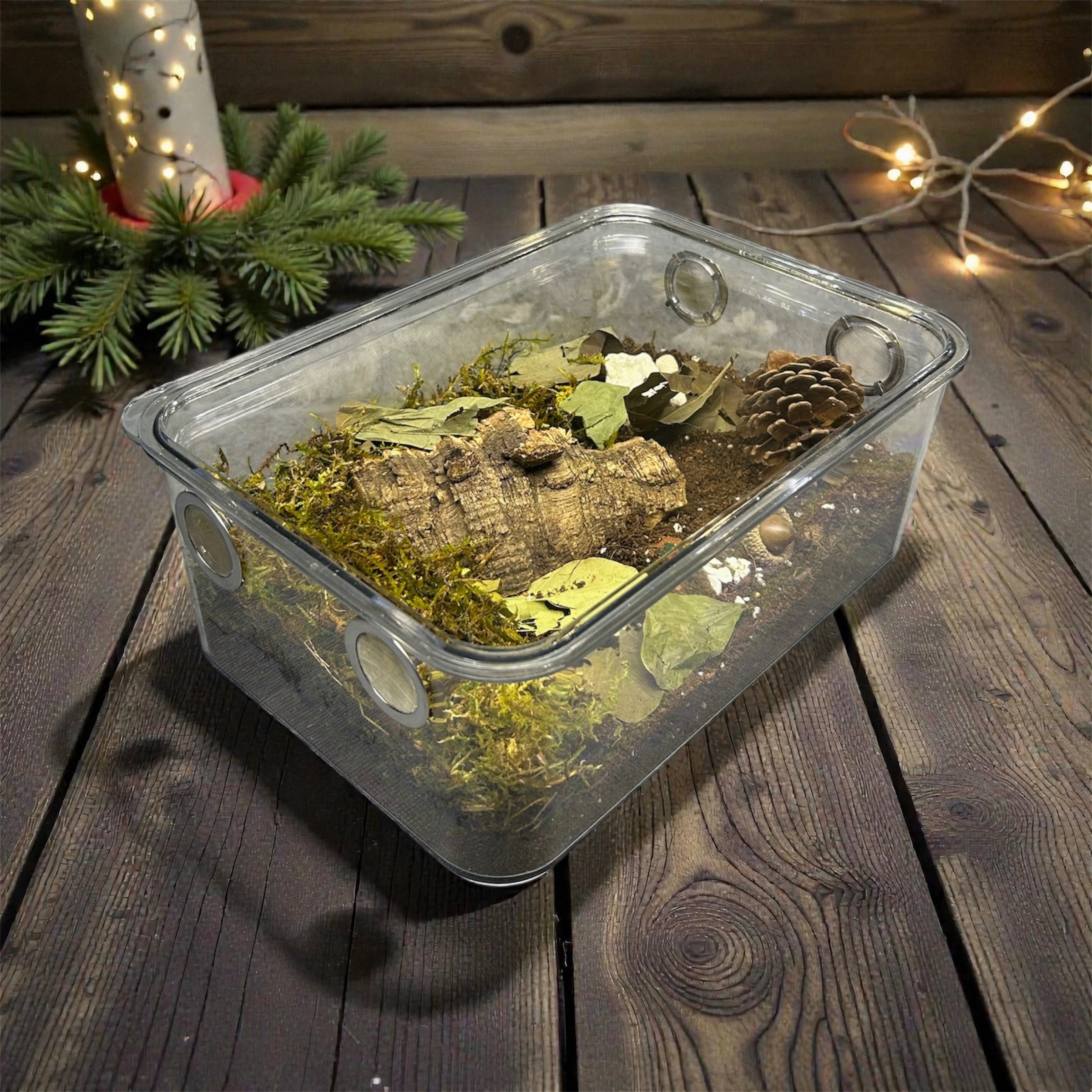 「翻鼠藤」4K飼養組系列