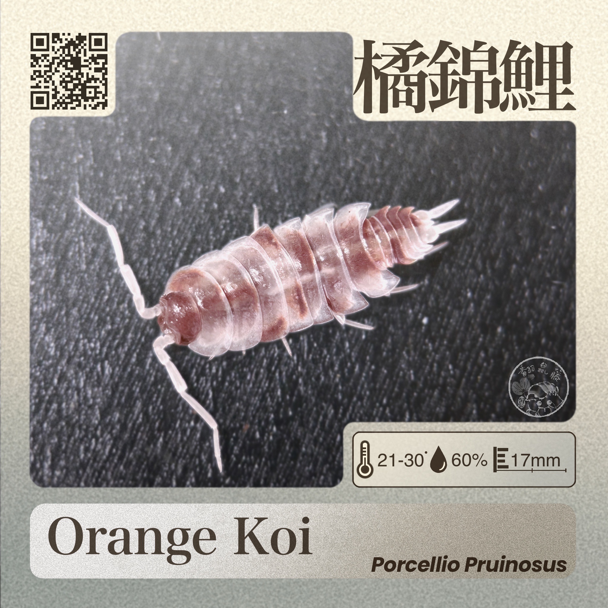 【OcO】• Bio-Utility •