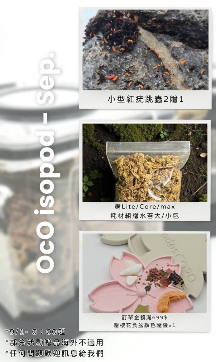 【OcO】  • PRISM_ BIOME KIT • 鼠婦+飼養箱 • 飼養組