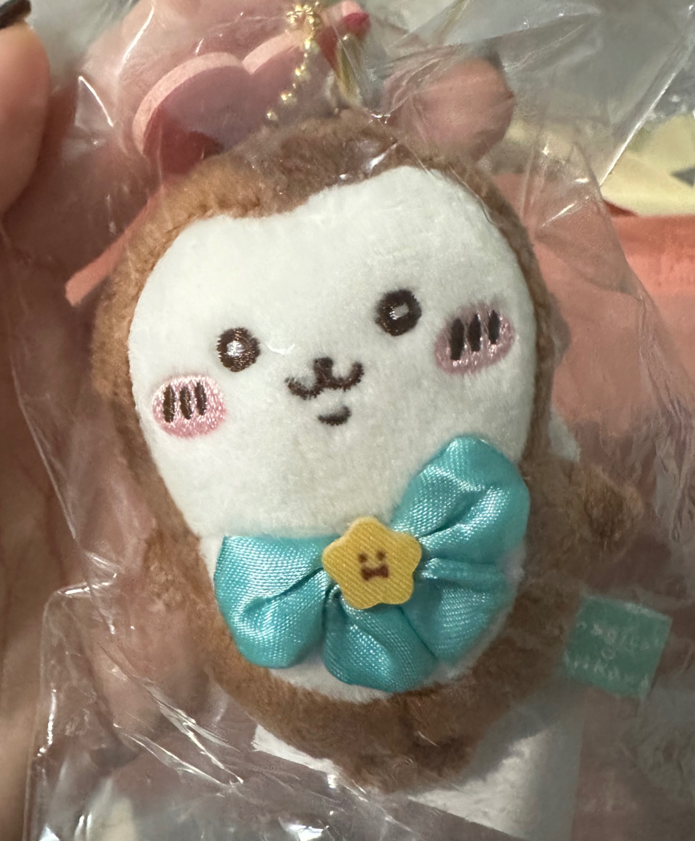 魔法小甲蟲