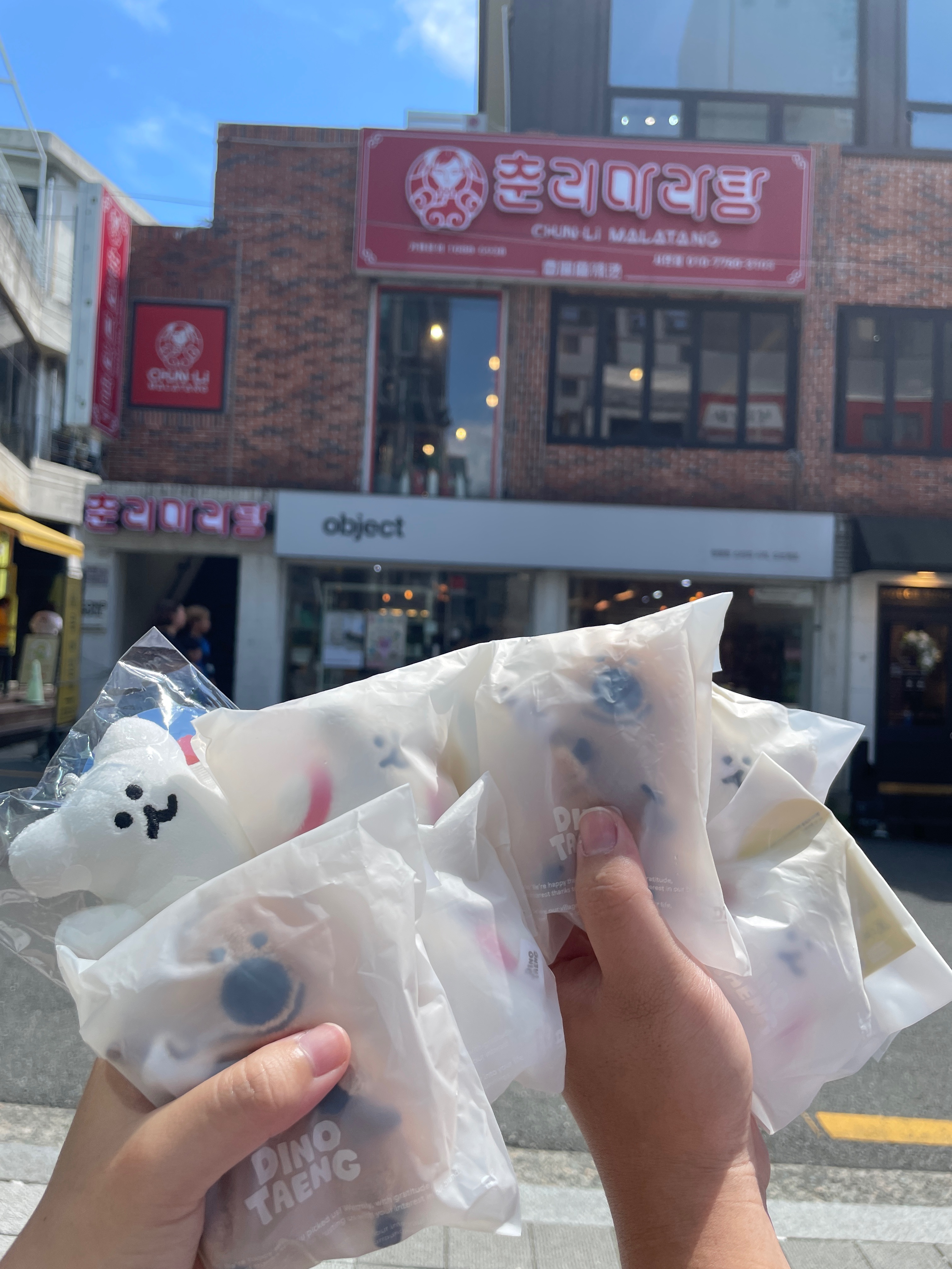 Dinotaeng韓國代購 吊飾娃娃🇰🇷