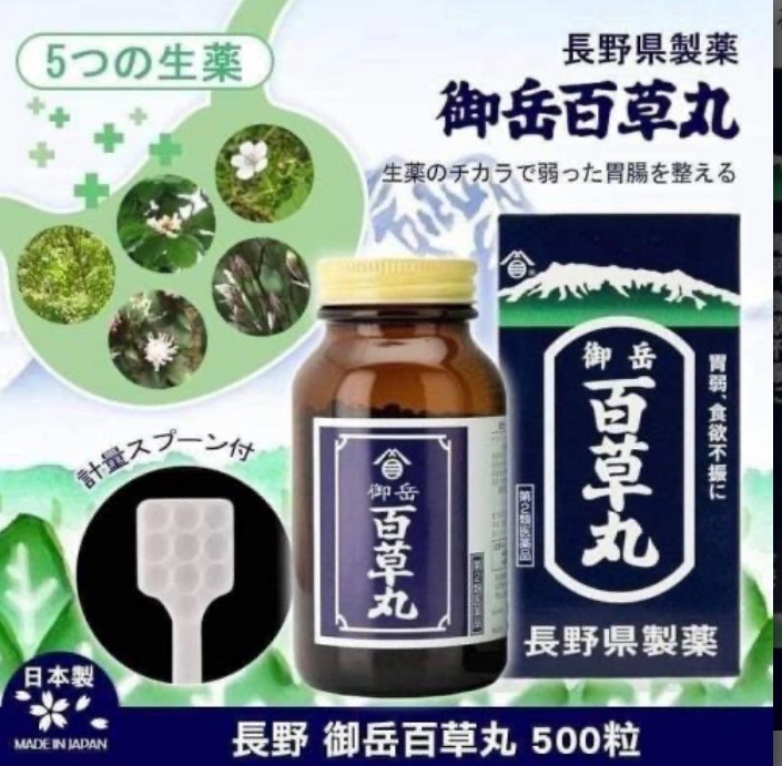 日本境內版～長野縣製藥-御岳百草丸胃藥 500錠