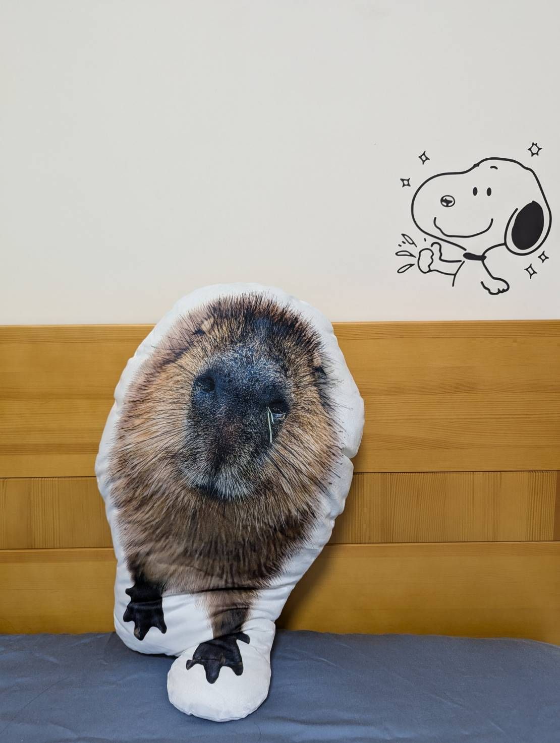 微笑水豚雙面抱枕