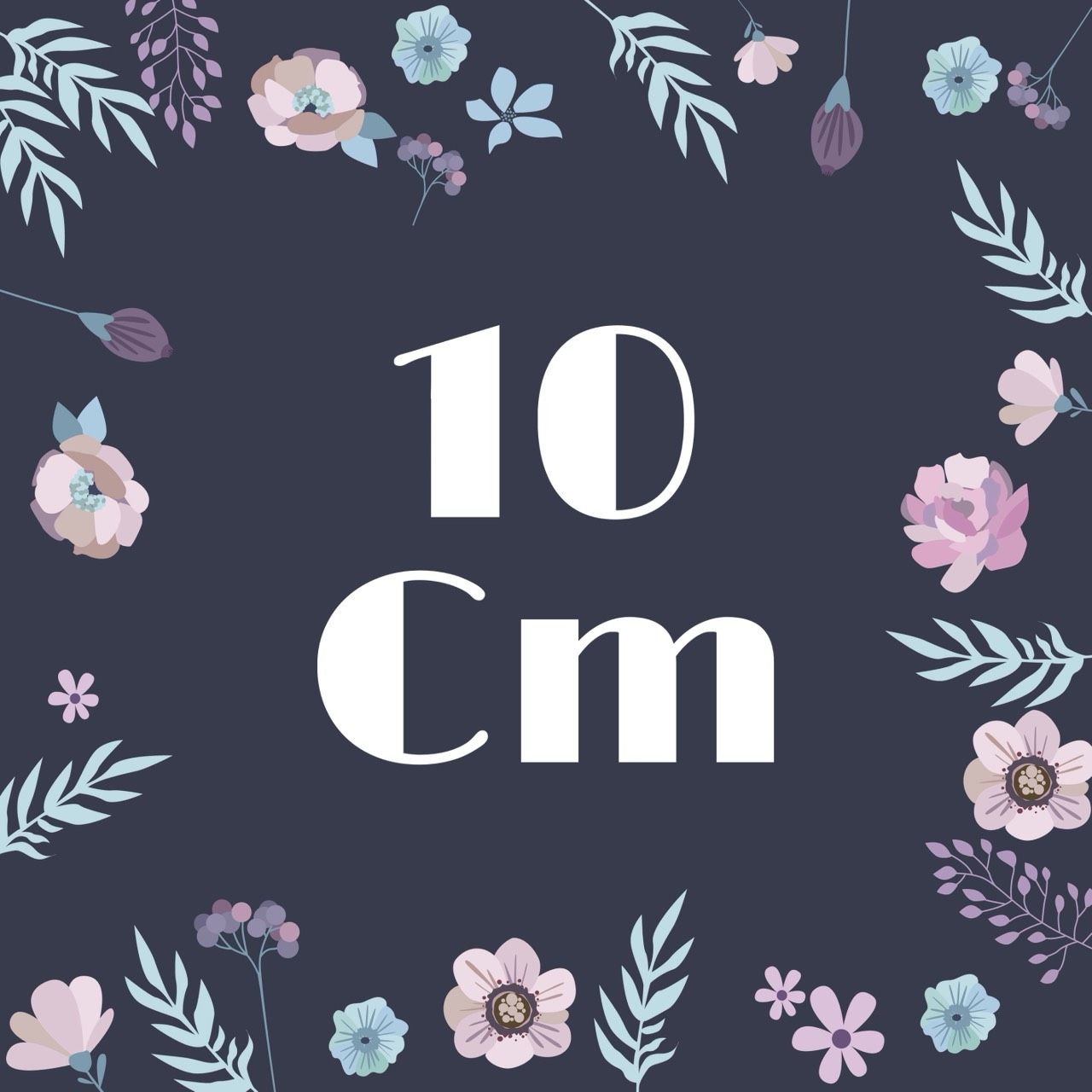 10娃衣