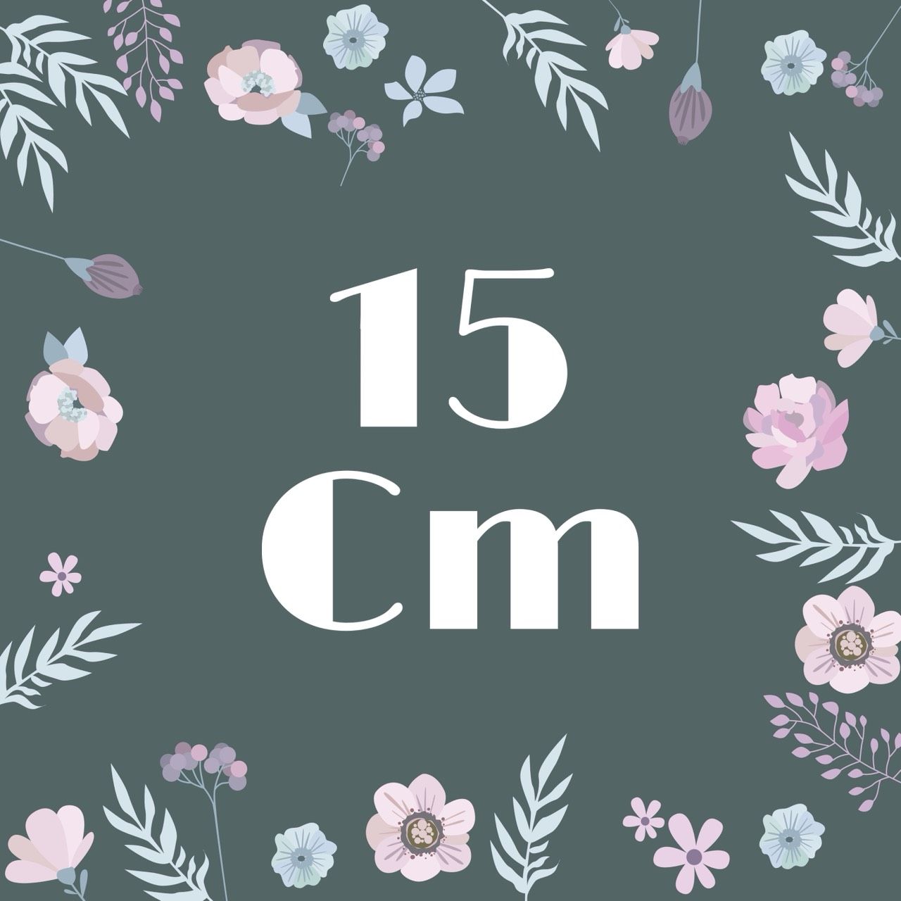 15娃衣