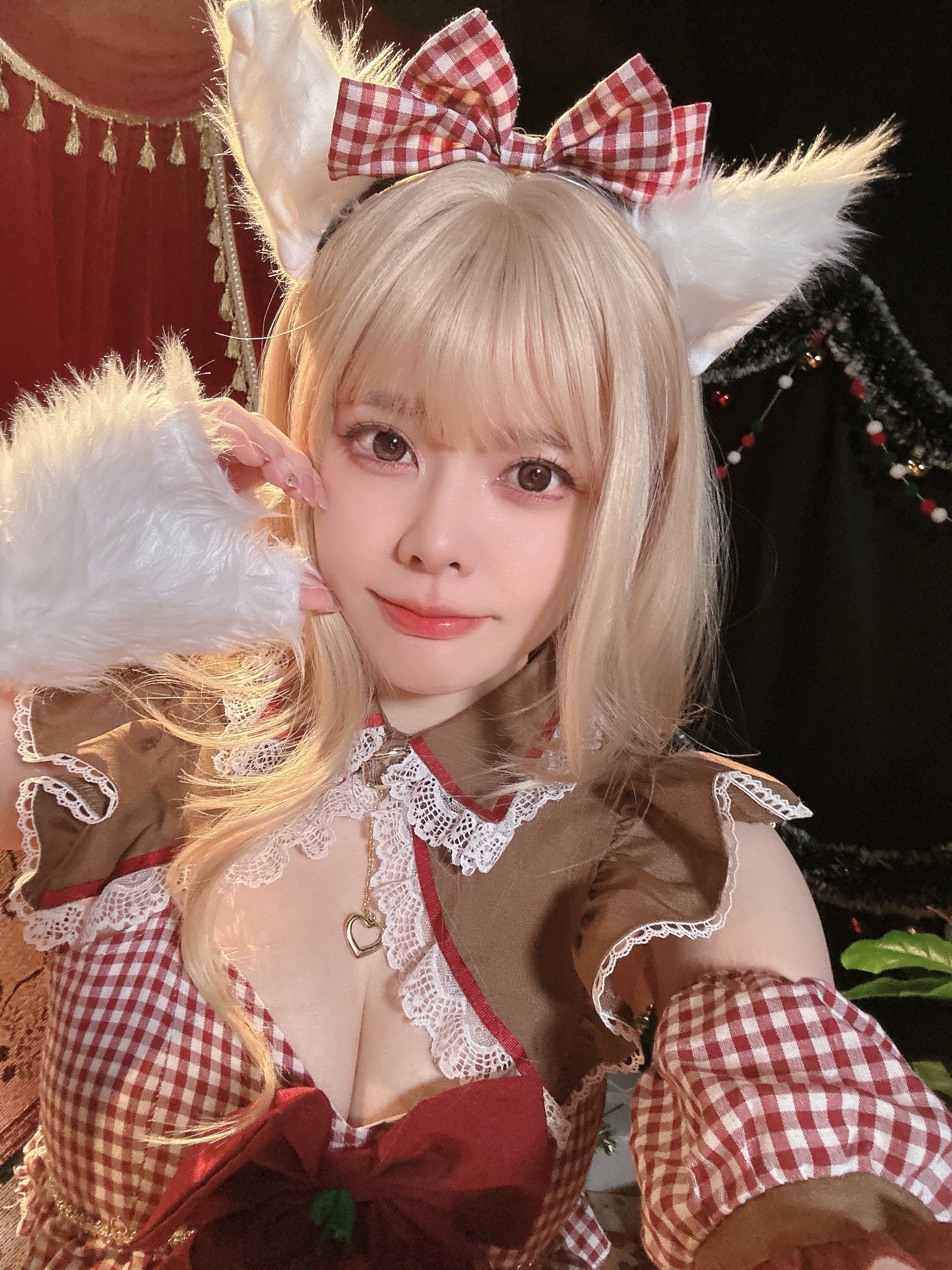 聖誕貓貓拍立得🎄Merry Christmas