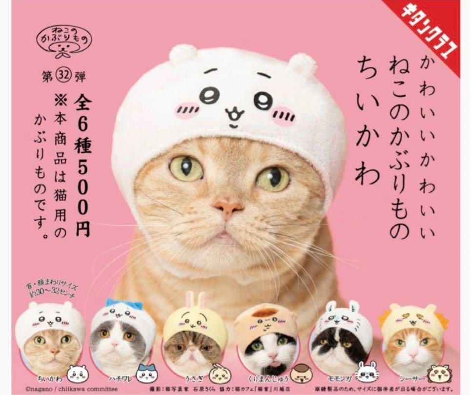【貓咪頭套】