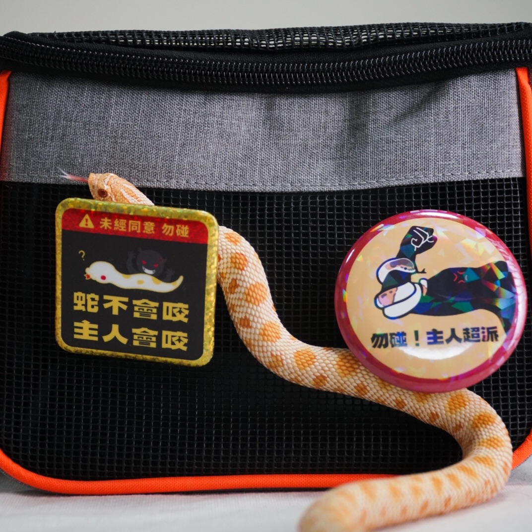 蛇蛇警示徽章 兩款