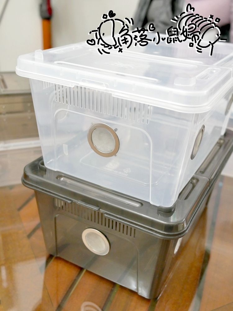 ［出清］飼養盒。Ｍ號掌上明蛛盒２代
