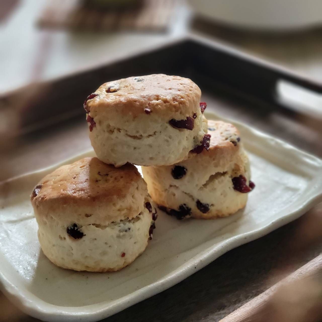 【人類專屬】蔓越莓司康SCONE 6入/盒