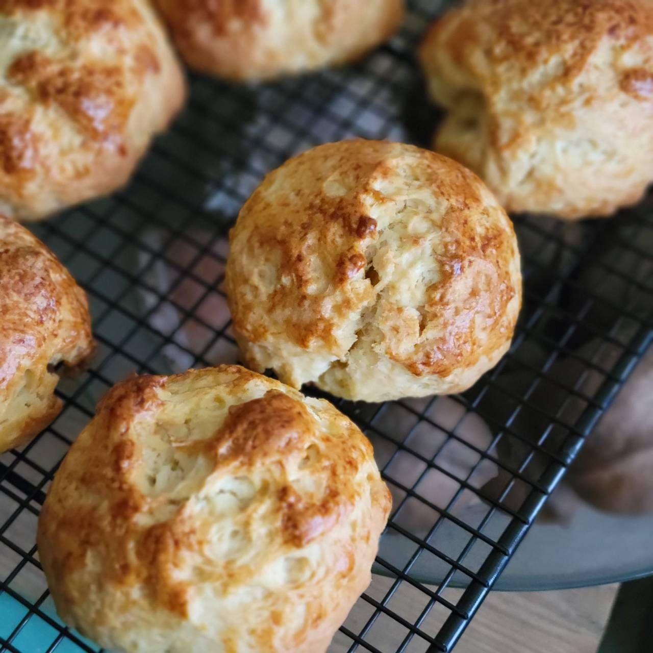 【人類專屬】經典原味司康SCONE 6入/盒