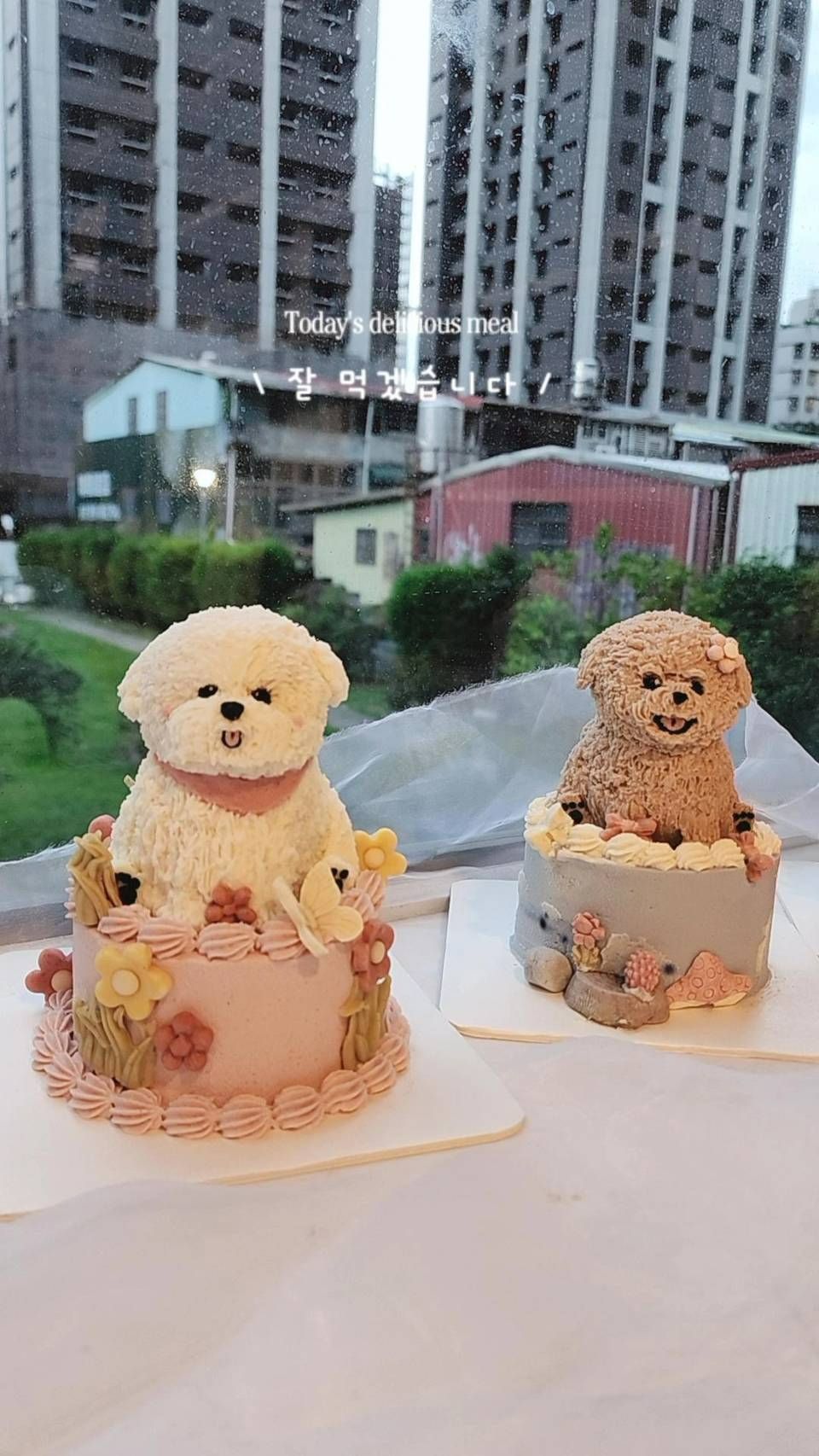 全立體頭像+四吋蛋糕2500$口味是地瓜+雞肉