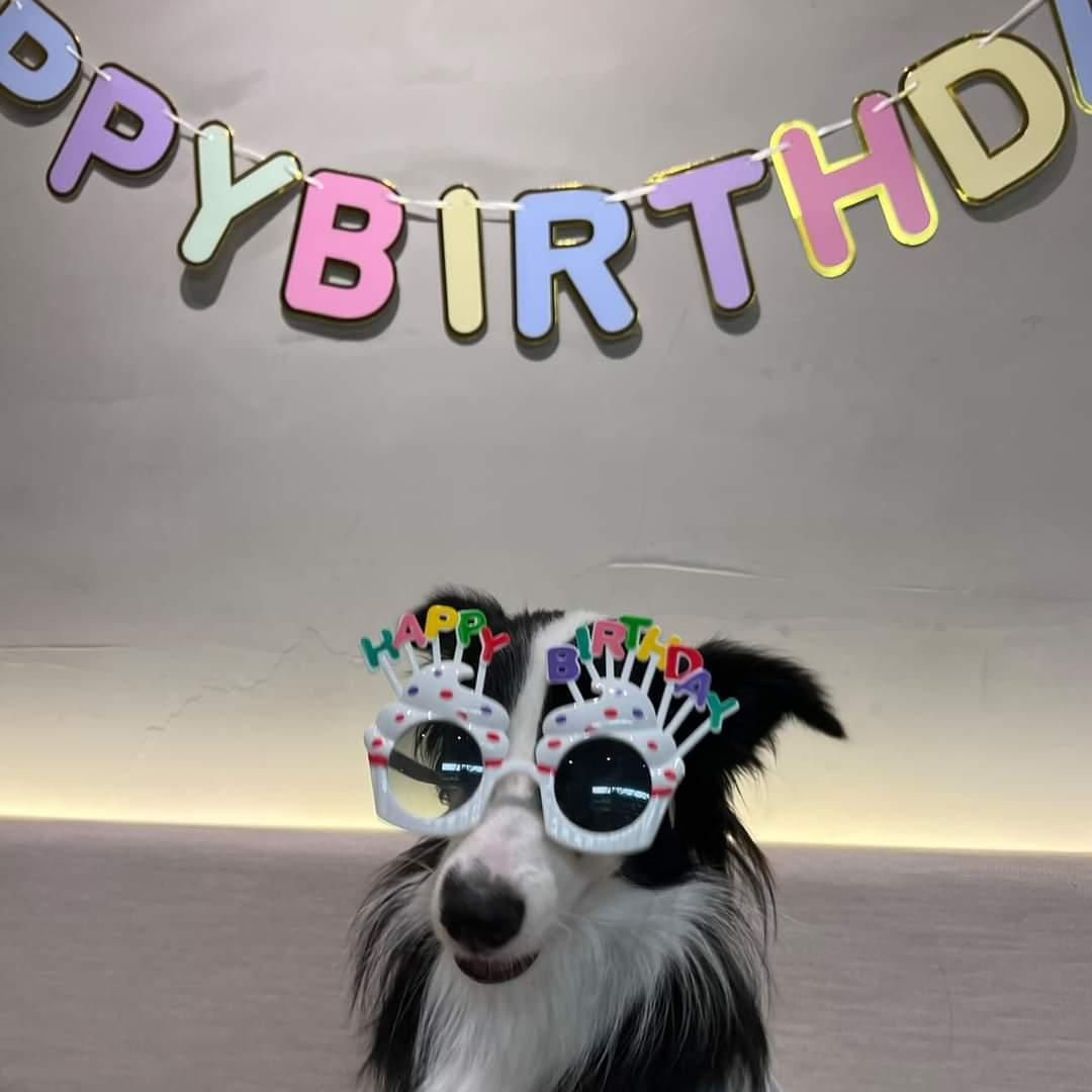生日快樂眼鏡