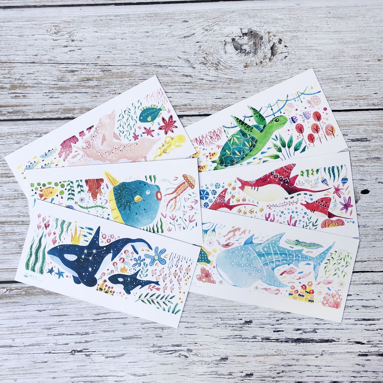 海洋好朋友 系列明信片 *480p銀點紙