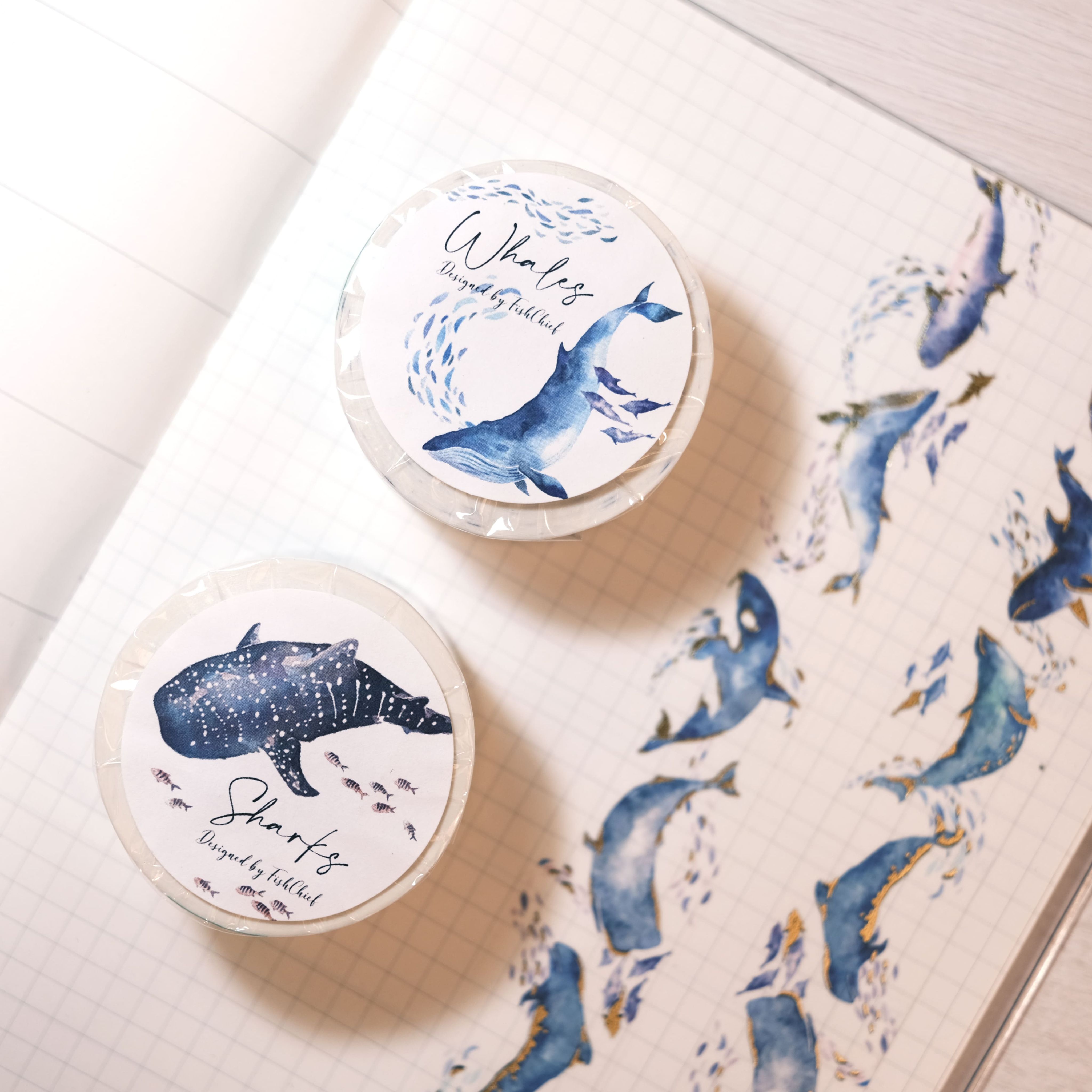 鯨魚/鯊魚 燙金離形紙膠帶 25 mm*長度10 m