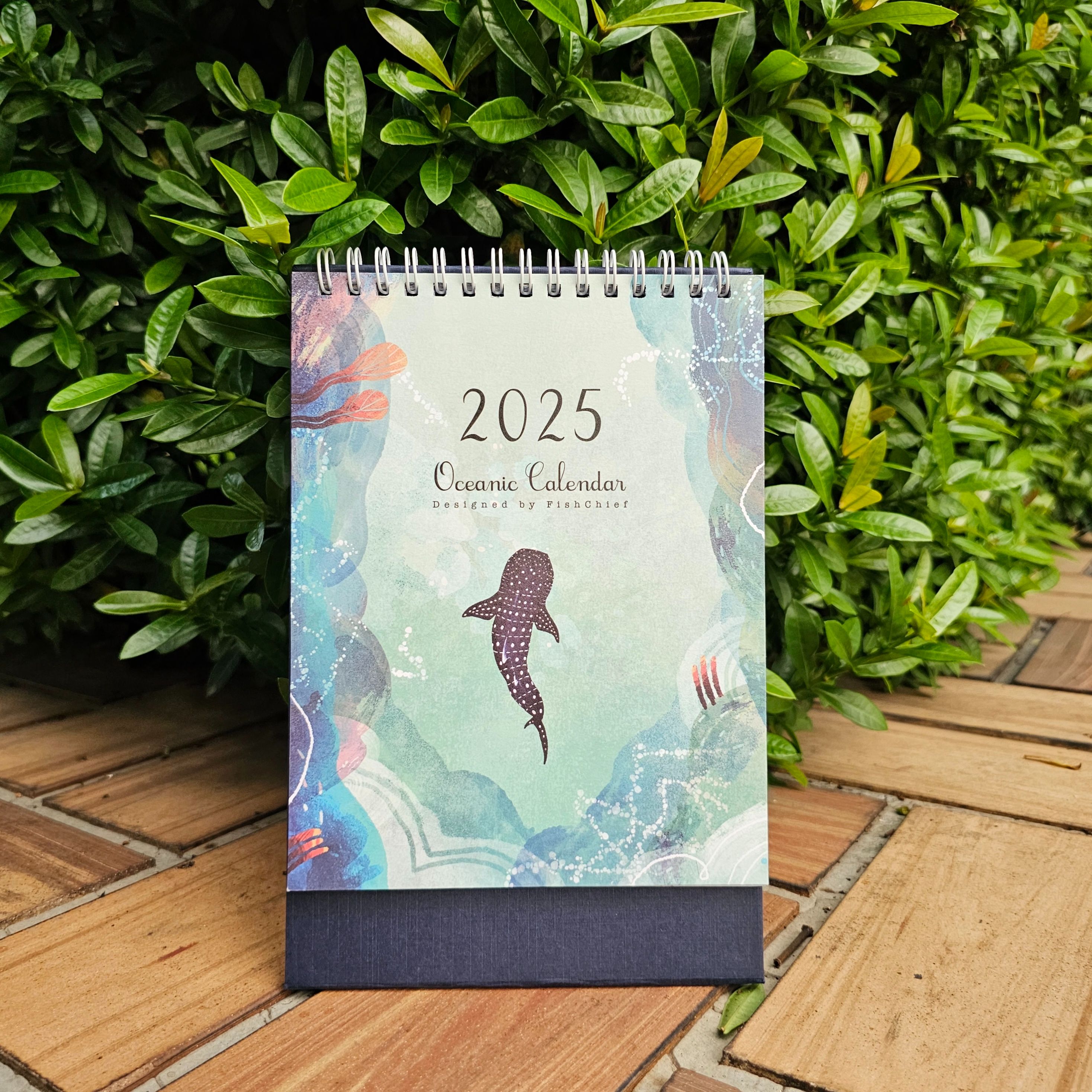 魚七分 2025海洋桌曆 台曆