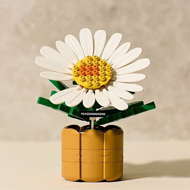 GD聯名積木818bloom