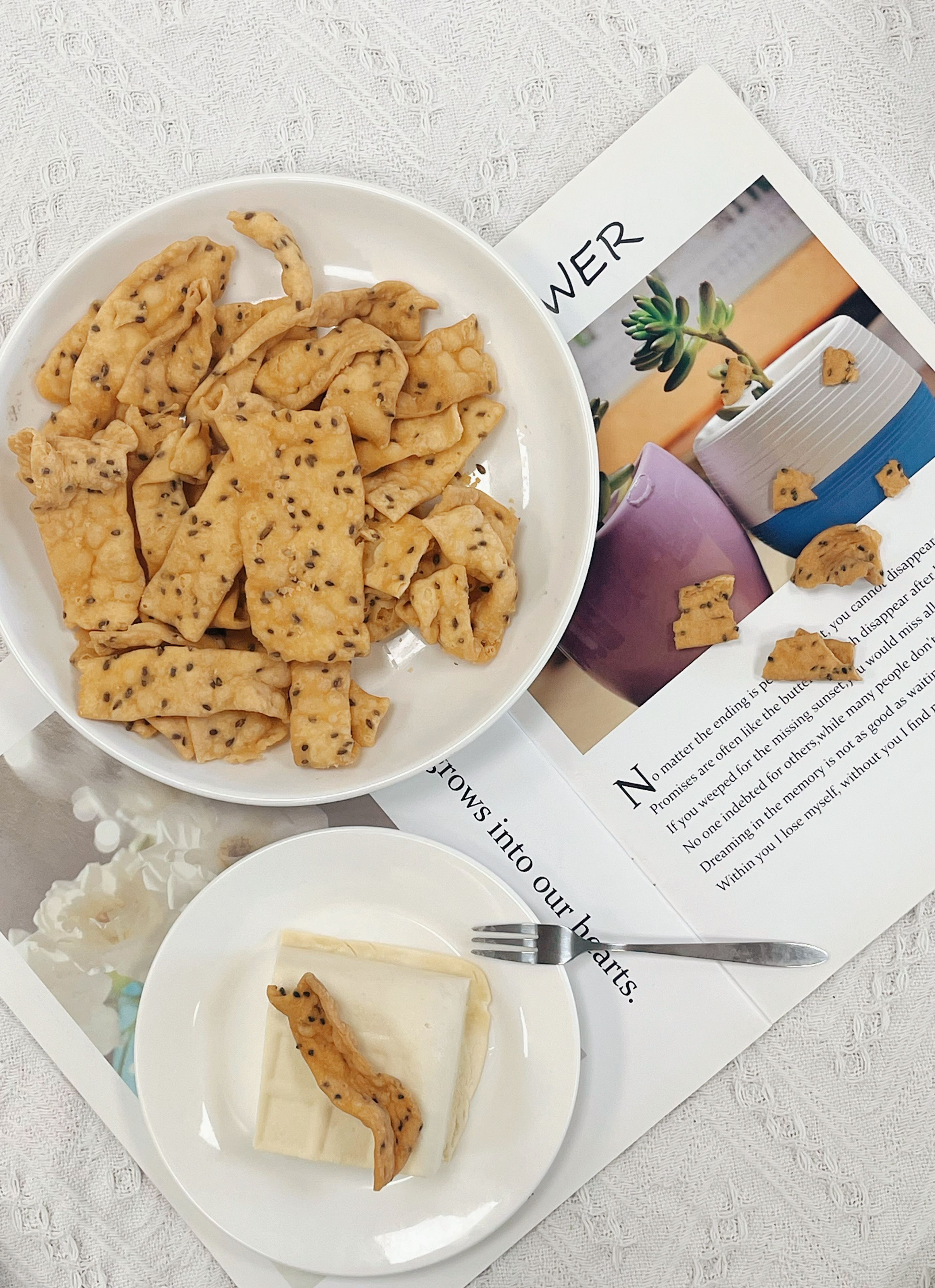 豆腐餅乾的誘惑
