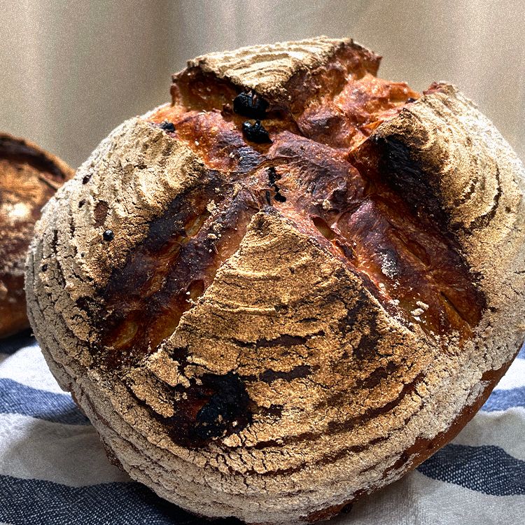 黑糖堅果葡萄乾軟歐包 Okinawa Brown Sugar Walnut ＆ Raisin Sourdough