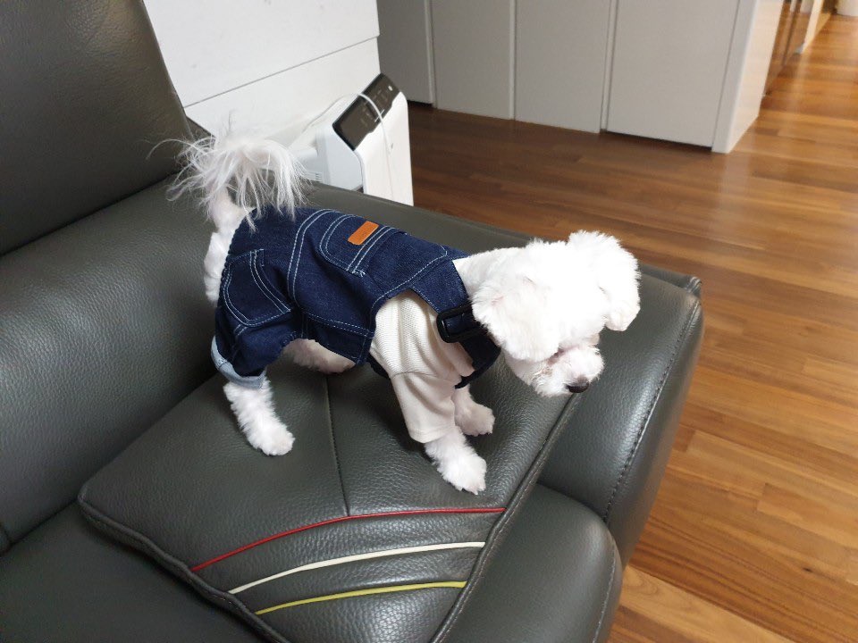 Gfriend小卡