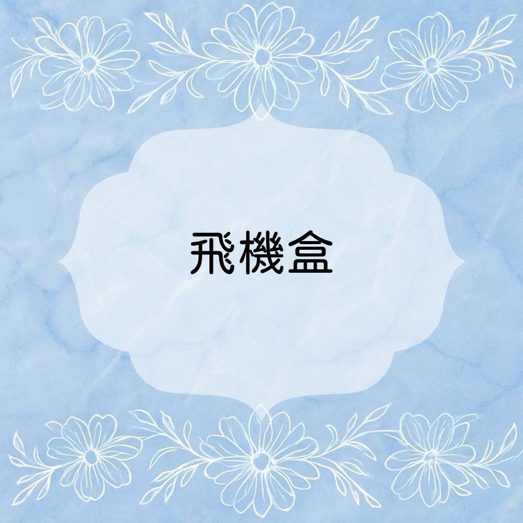 ✨飛機盒
