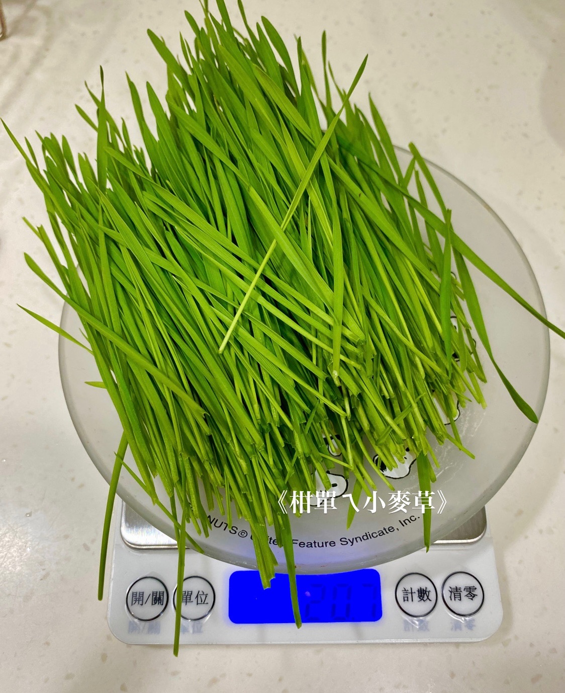 鮮草式