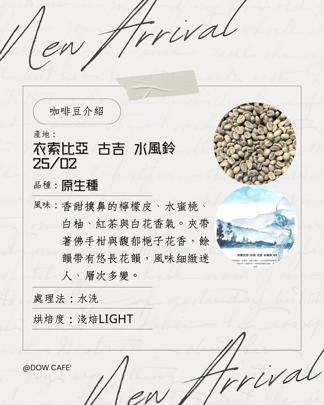 🇪🇹衣索比亞 古吉 水風鈴 G1 25/02