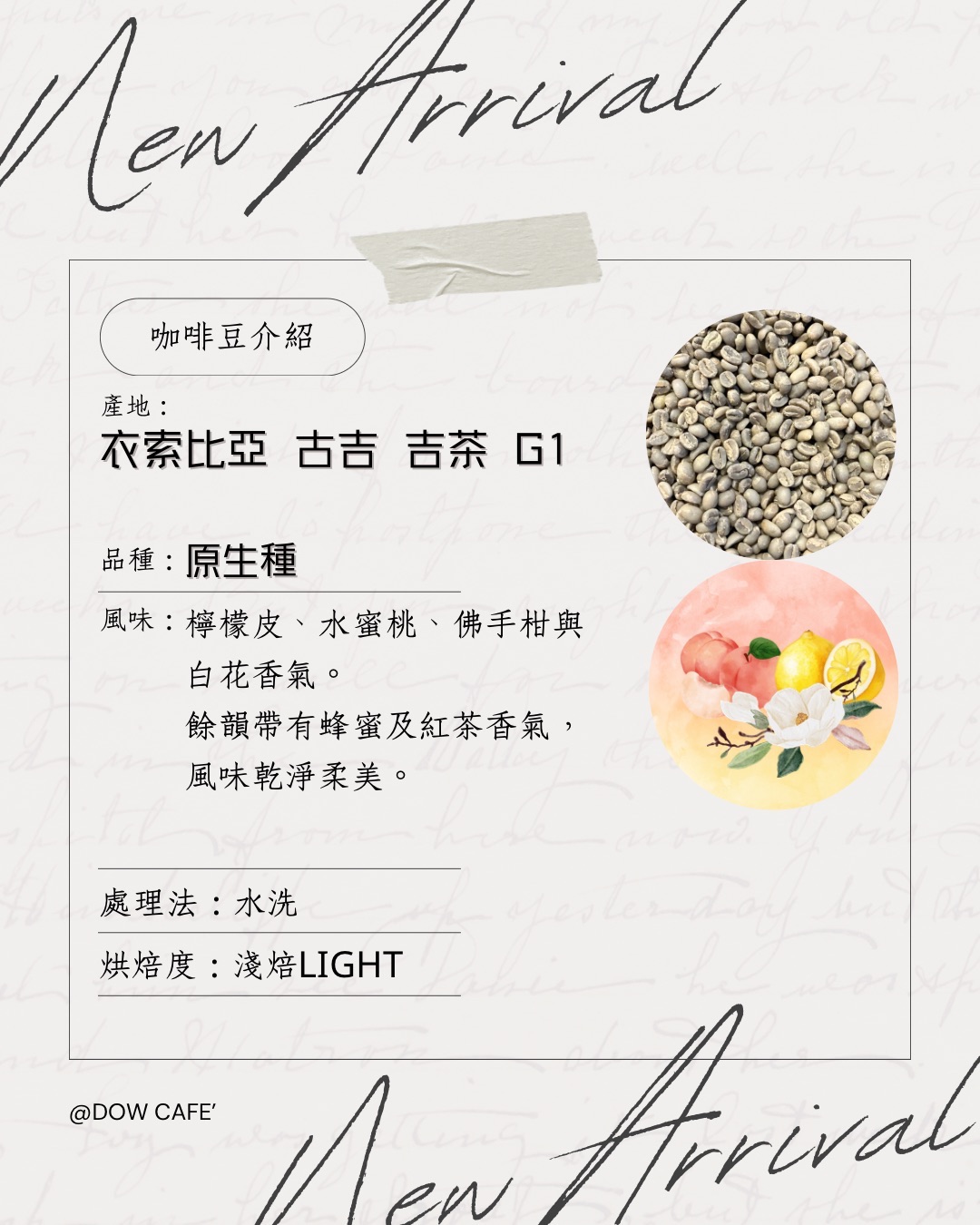 🇪🇹衣索比亞古吉吉茶G1