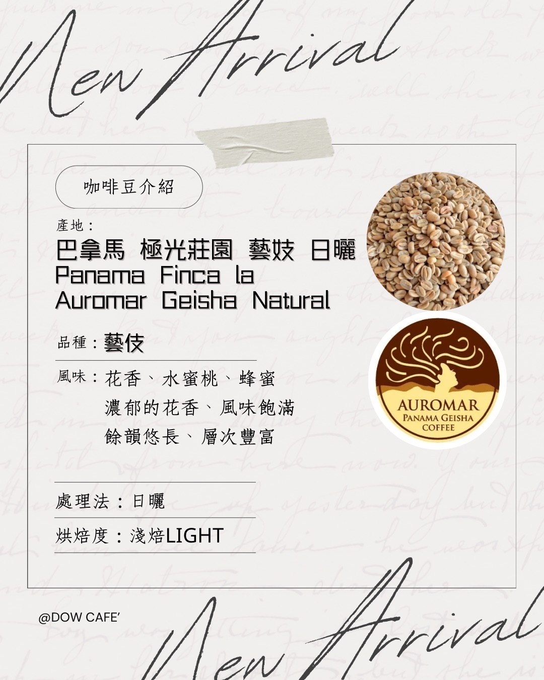 🇵🇦巴拿馬 聖塔克拉拉 極光莊園 卡塔莉娜 藝伎 空運批次 日曬  淺焙